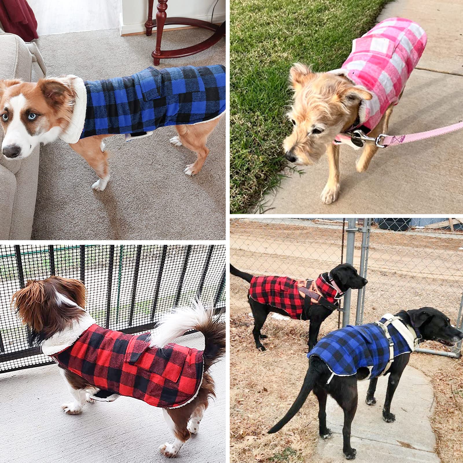 Malier Classic Plaid Fleece Dog Winter Coat - Windproof Warm Dog Jacket with Pocket for Small Medium Large Dogs (Blue, Medium) | Cold Weather Pet Apparel for Outdoor Walks & Winter Adventures