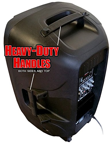 15 Inch Professional DJ Speaker Pair with Stands & LED Lights – Adkins DJSYS-81 – Perfect for Nightclubs, Parties & Live Events