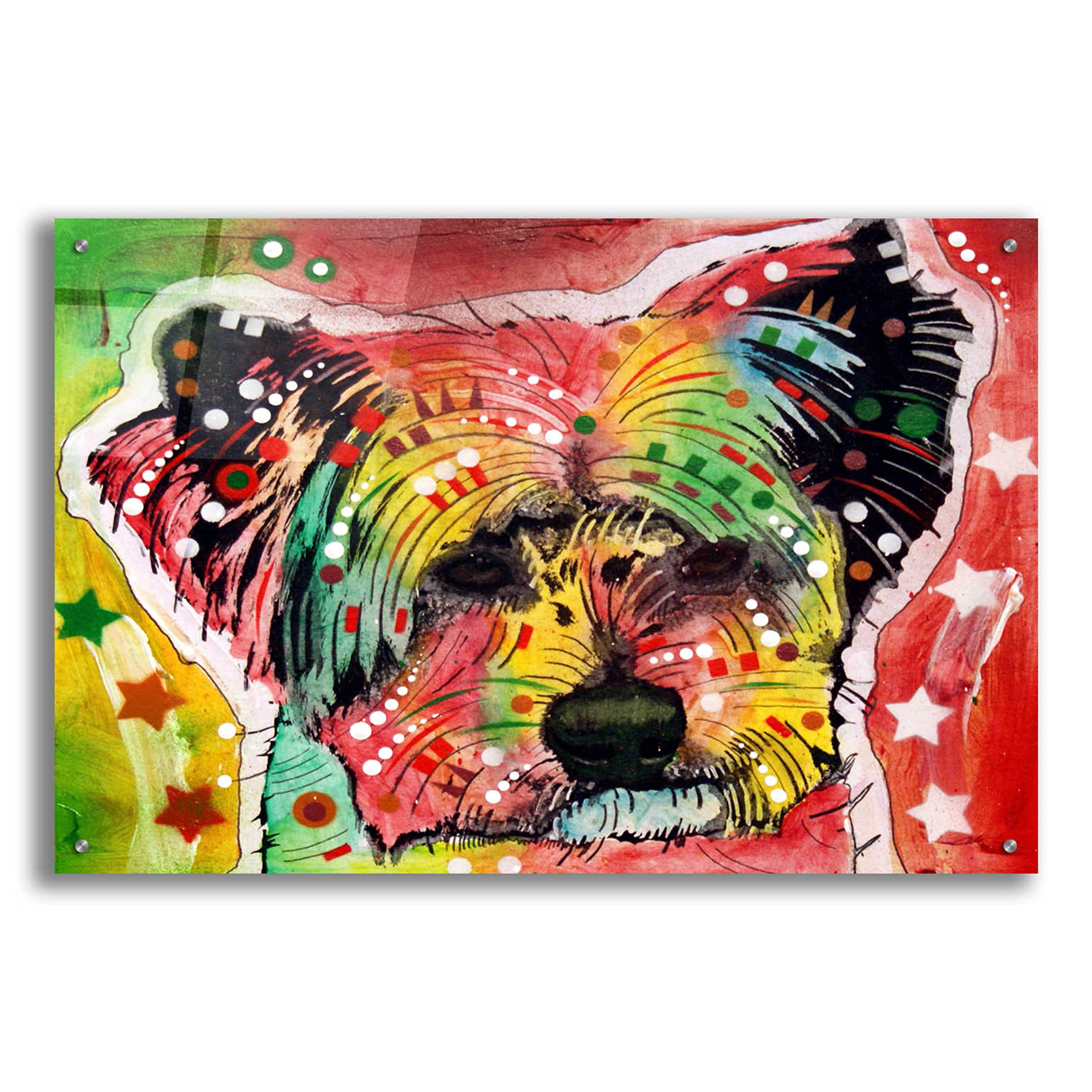 Dean Russo 'Earthy York' Acrylic Glass Wall Art Print - 36x24 Inches Modern Abstract Canvas Painting for Living Room, Bedroom & Office Decor