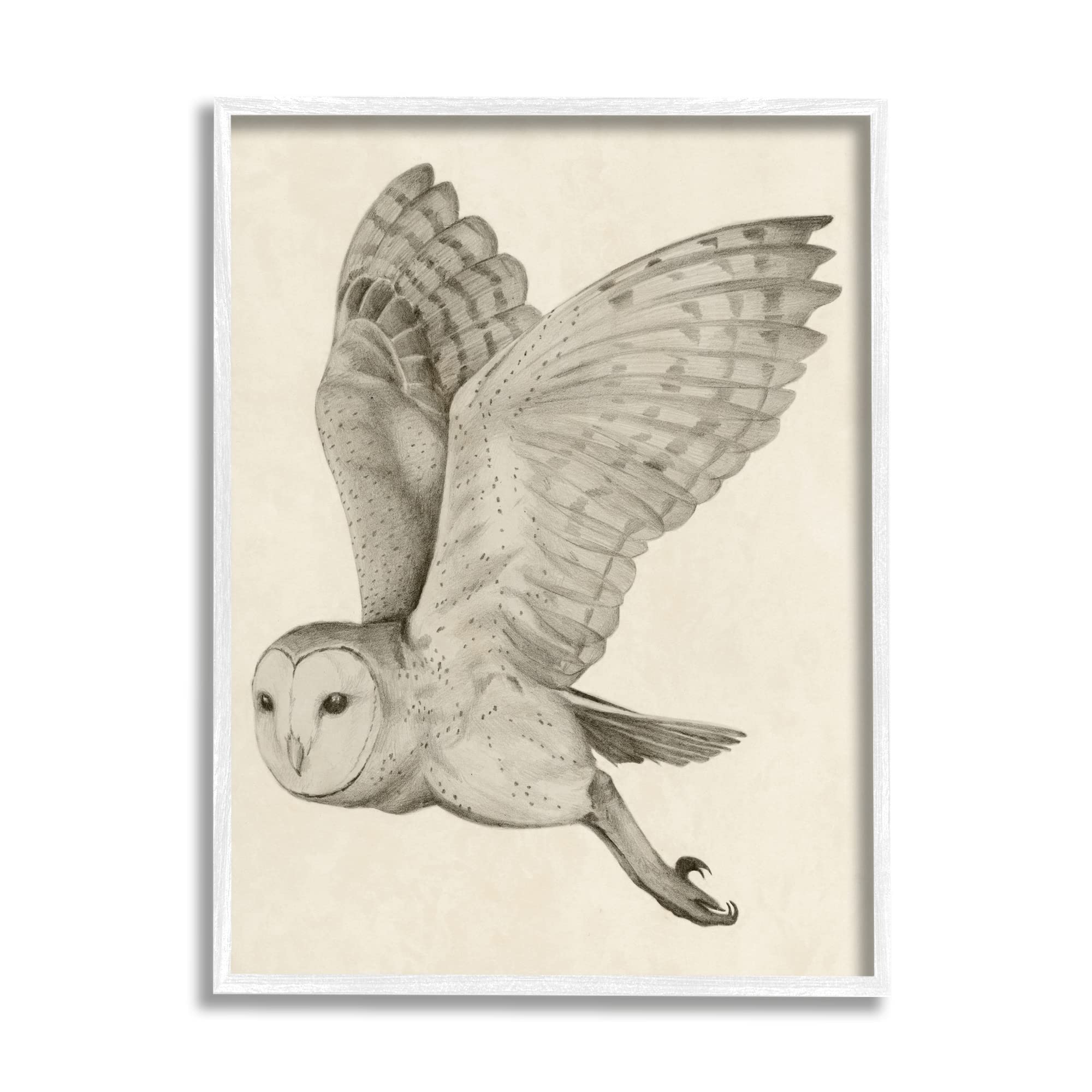 Stupell Industries Flying Barn Owl Wings - Detailed Monochrome Drawing Wall Art by Grace Popp | Nature-Inspired Home Decor for Living Room, Bedroom & Office