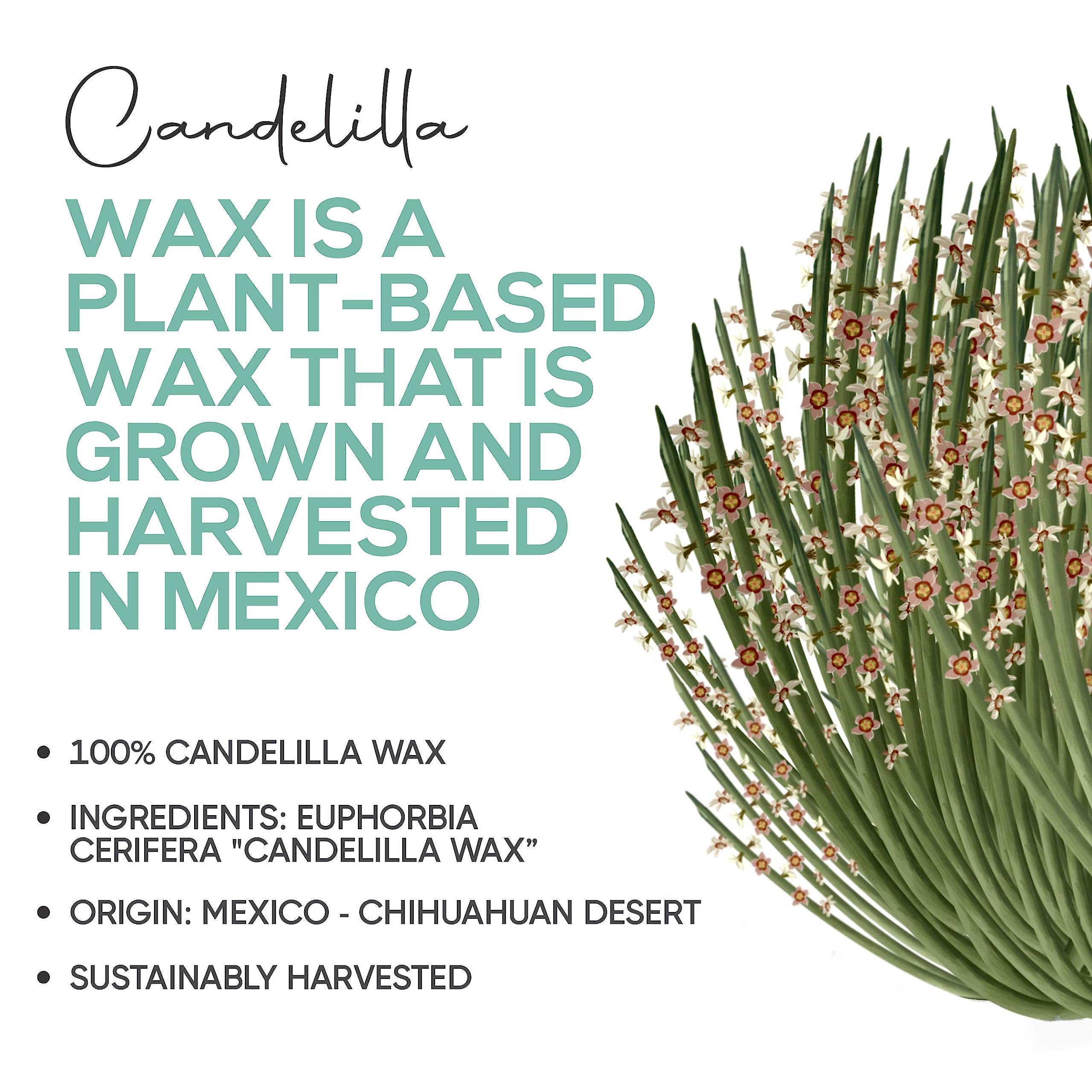 5 lbs Bulk Candelilla Wax Pellets - 100% Pure Natural Food Grade Vegan Wax for DIY Lip Balm, Soap, Candle Making, Creams & Lotions | Beeswax Alternative for Skin, Face & Hair Care | Perfect for Homemade Cosmetics, Hair Products & Candle Crafting