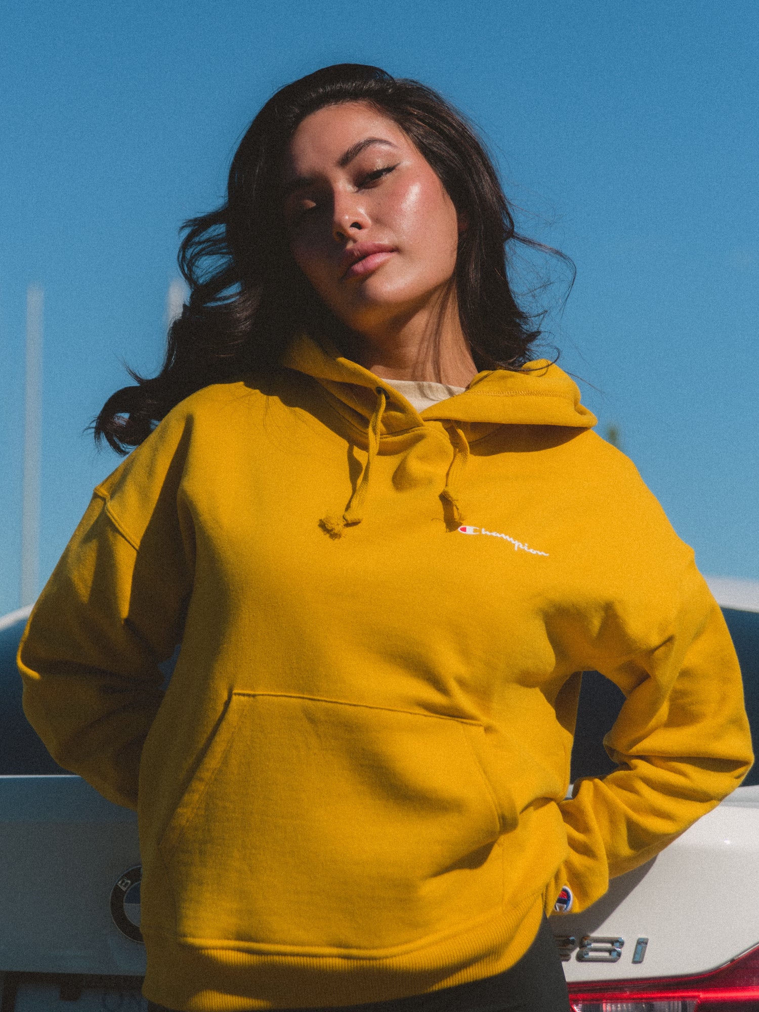 Champion Powerblend Hoodie - Soft & Comfortable Fleece Pullover for Men & Women - Perfect for Gym, Running, Casual Wear & Outdoor Activities