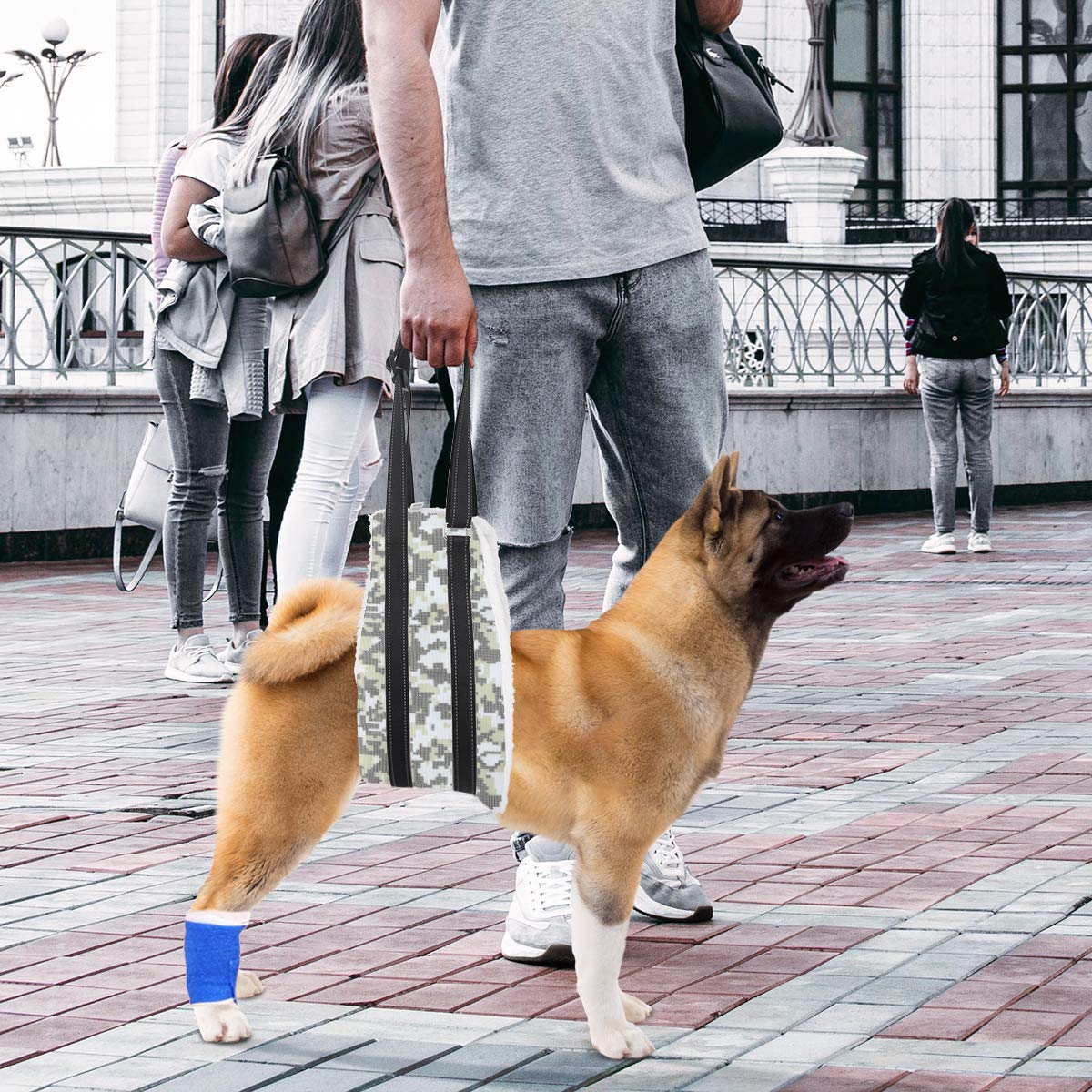 Voopet Dog Sling - Adjustable Hip Support Harness for Small, Medium & Large Dogs | Rear Leg Lift Assist for Canine Rehabilitation & Mobility Aid | Perfect for Post-Surgery Recovery, Arthritis Support & Elderly Dogs