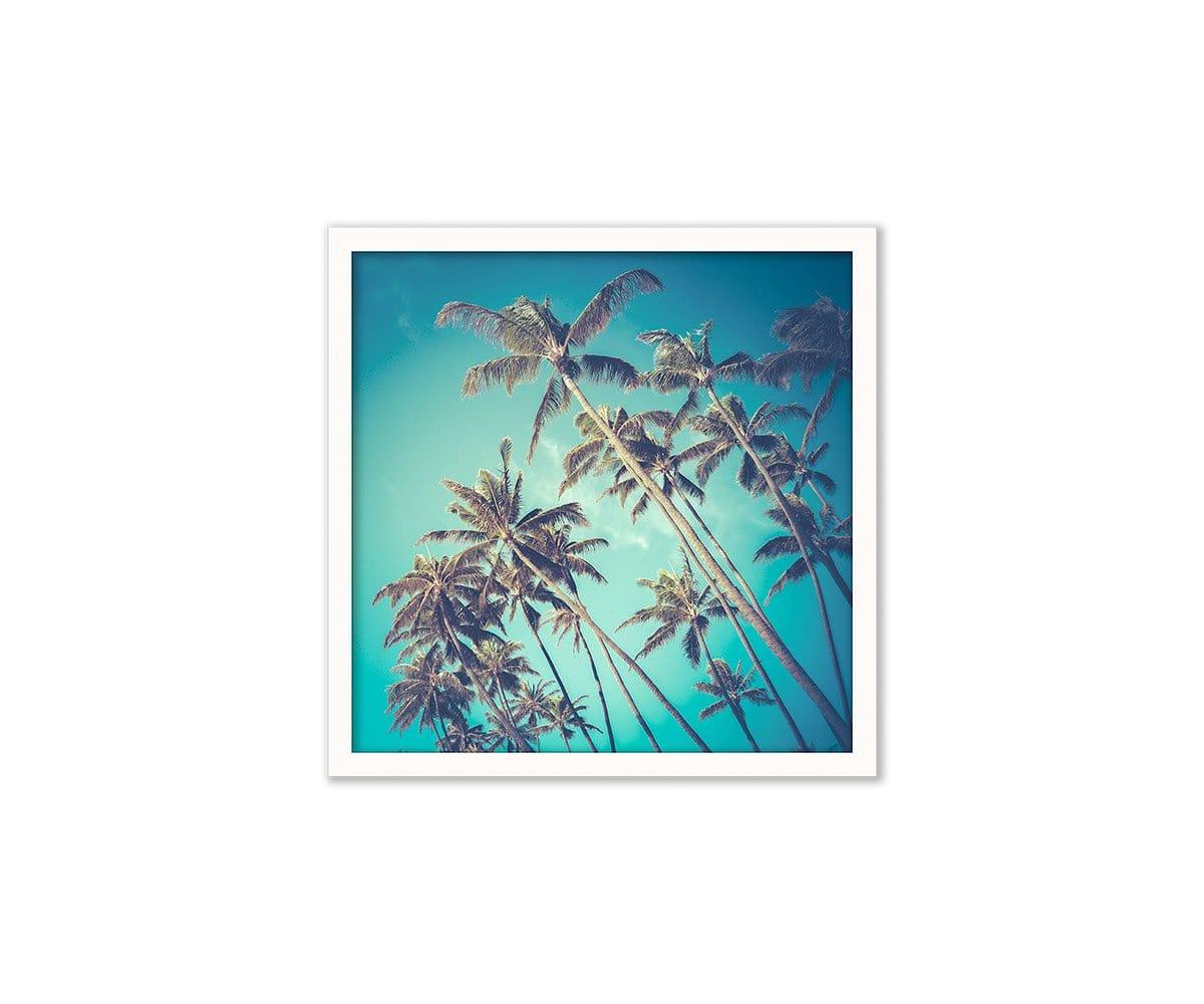 Blue/Multi