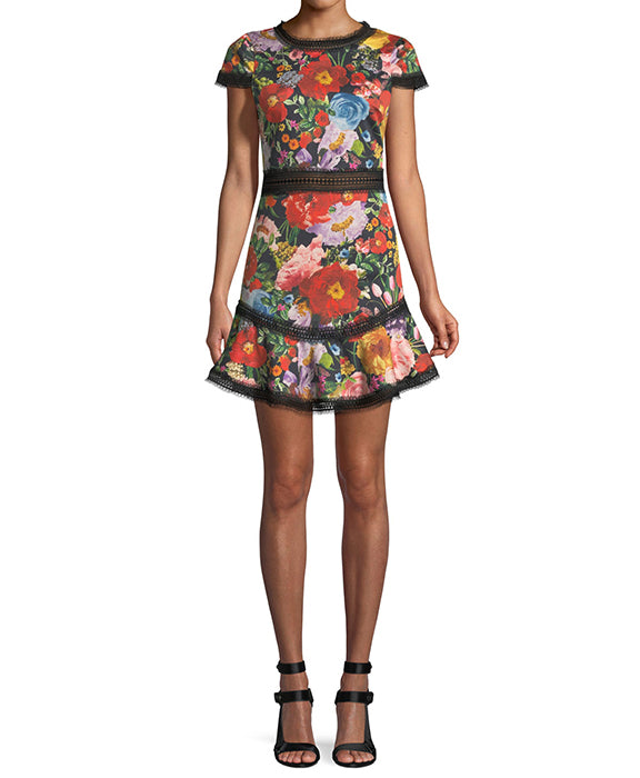 Alice and Olivia Red Floral Rapunzel Dress - Women's Elegant Midi Dress for Parties, Weddings & Special Occasions