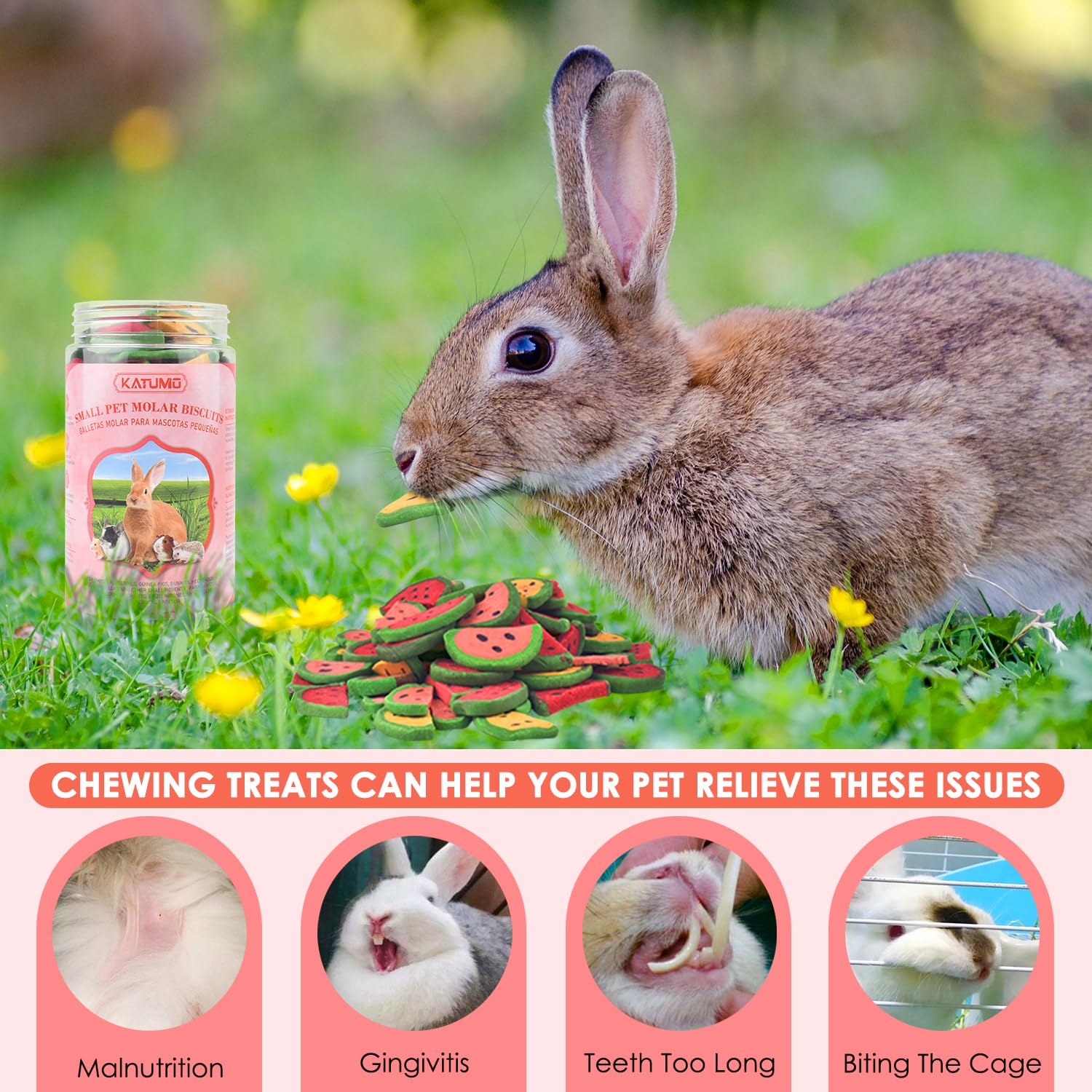 KATUMO 65PCS Natural Rabbit Chew Toys - Timothy Hay Sticks for Bunnies, Small Animal Dental Treats & Molar Toys | Perfect for Cage Enrichment, Teething Relief & Bonding Time with Your Pet Rabbit