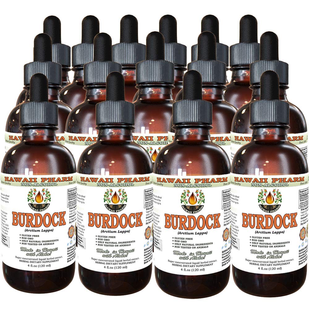 Organic Burdock Root Liquid Extract (Arctium Lappa) - Alcohol-Free Glycerite Herbal Supplement by Hawaii Pharm - 4 oz Bottle (Pack of 15) - Supports Liver Health & Skin Care - Perfect for Detox & Herbal Tea Blends