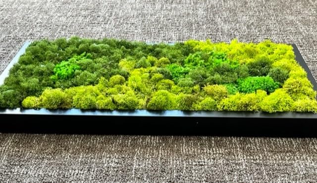 Live Preserved Moss Wall Art - Unique Custom Made Moss Art in Wooden Frame - Handmade Home & Office Decor - 31