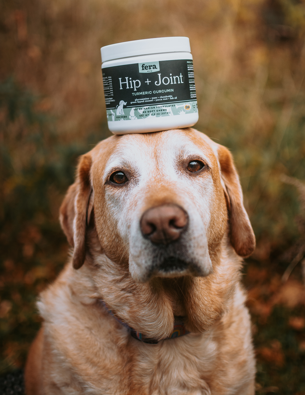 Fera Pet Organics Hip & Joint Supplement for Dogs & Cats - Natural Joint Support for Mobility & Pain Relief - Perfect for Senior Pets & Active Dogs