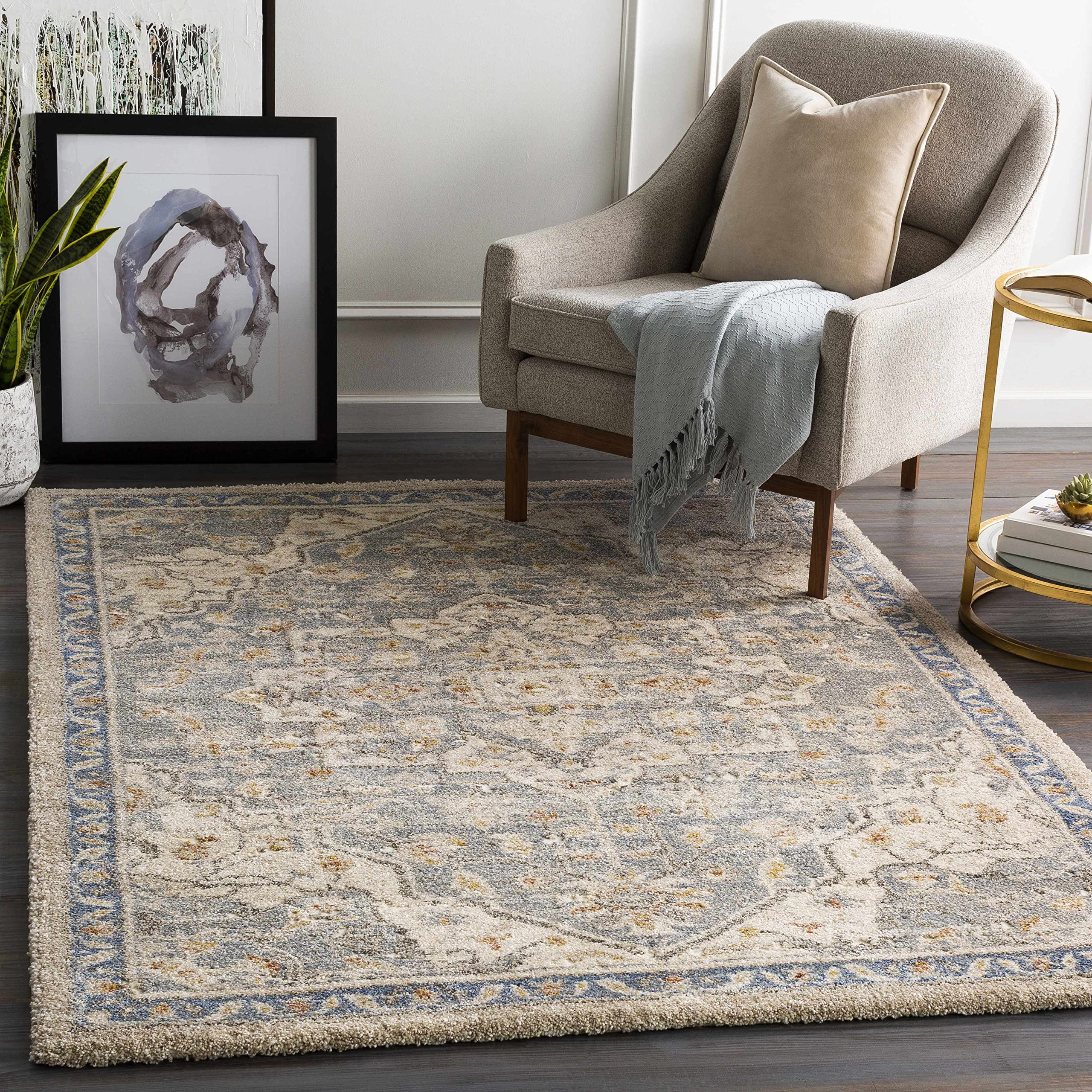 Premium Hauteloom Chesnee Plush High-Pile Area Rug - Traditional Blue & Yellow Design 4'3