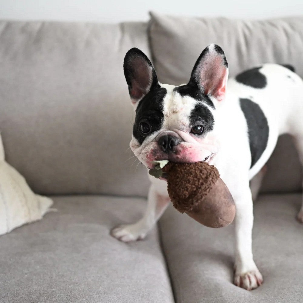 Durable Acorn Squeaky & Bouncy Dog Toy for Small & Medium Dogs - Fun Chew Toy for Indoor & Outdoor Playtime