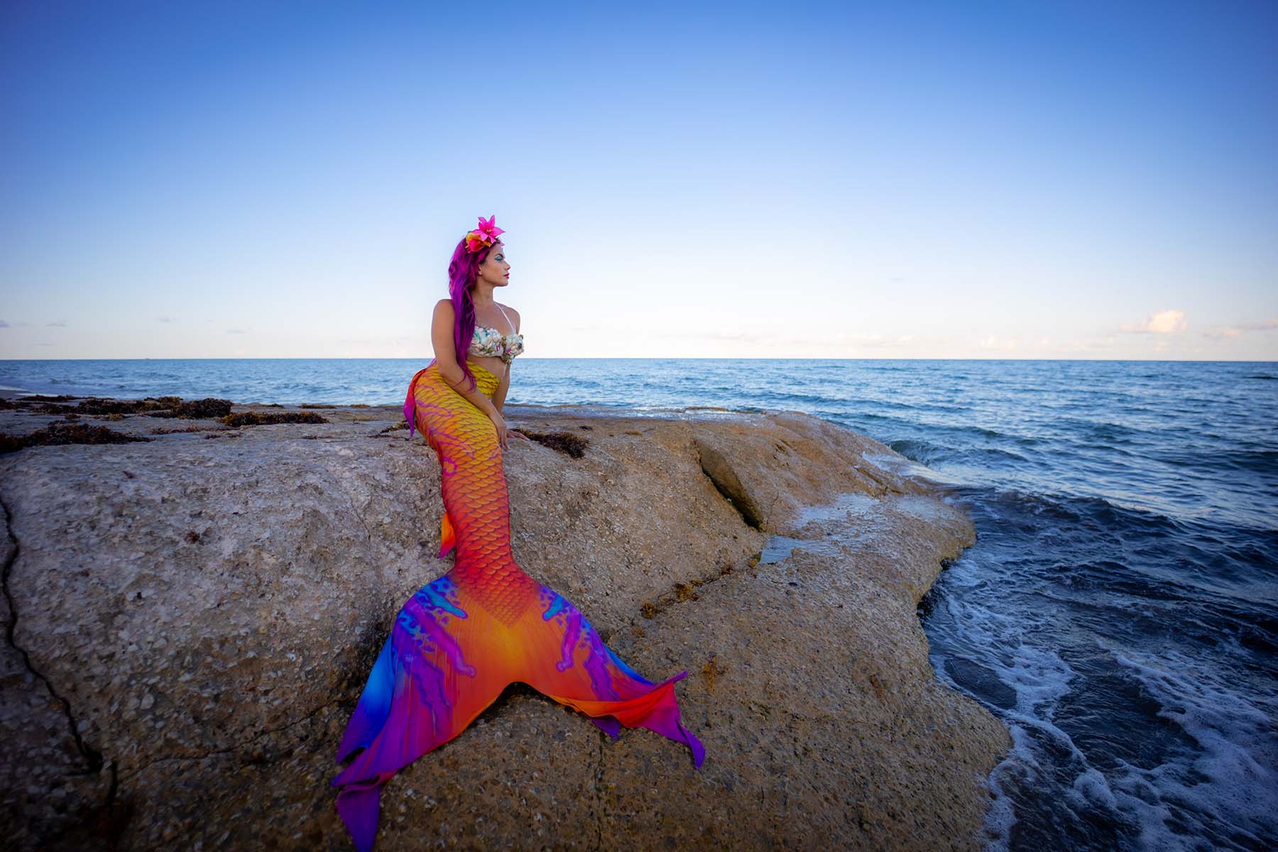 Mimosa Eco DiveTail - Premium Scuba Diving Wetsuit for Women - Available in Sizes S & 2XL - Perfect for Ocean Exploration, Snorkeling, and Water Sports