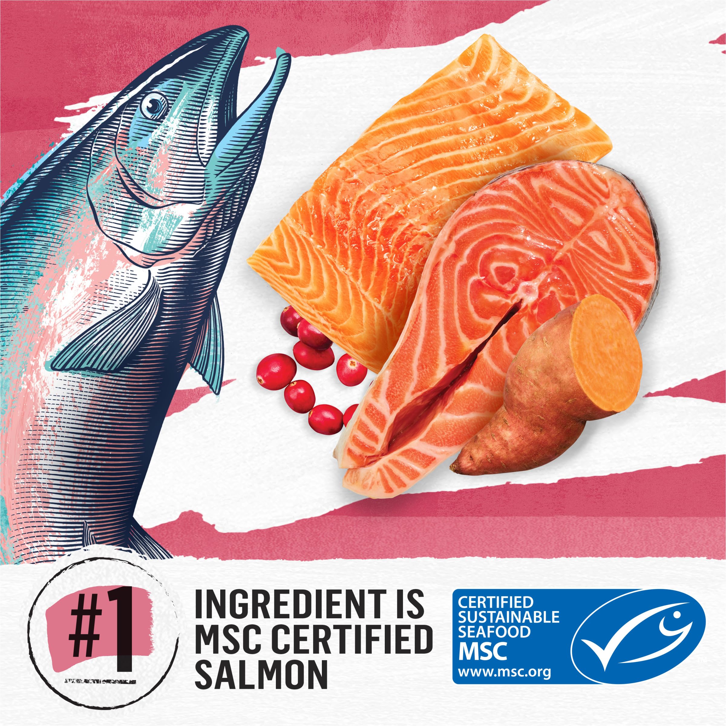 Purina Beyond Grain Free Natural Dry Cat Food - Simply Indoor Salmon, Egg & Sweet Potato Recipe - 5 lb Bag - Healthy Indoor Cat Nutrition for Weight Management & Digestive Health