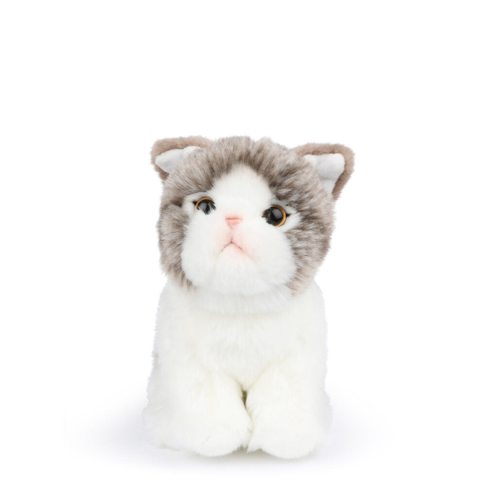 B.T. Chaps Amelie The Scottish Fold Cat Plush Toy in Gift Box - 17cm (6.5 inch) Cute Stuffed Animal for Kids & Cat Lovers - Perfect Gift for Birthdays, Valentine's Day & Christmas