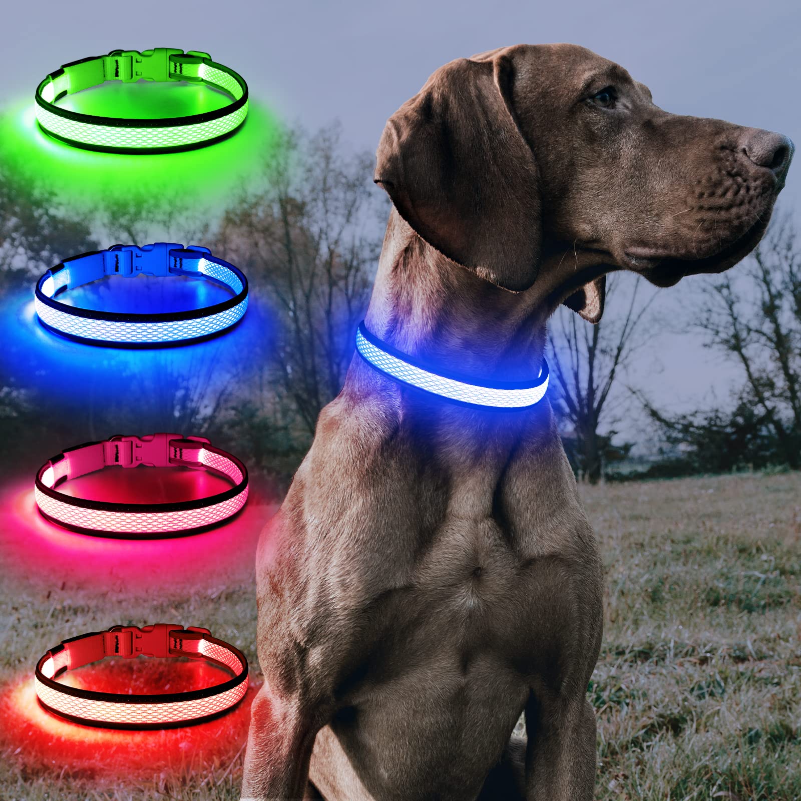 BSEEN Rechargeable LED Dog Collar - Reflective Glow in The Dark Collar for Small Dogs, Blue - Waterproof & Adjustable for Night Walking, Jogging, and Outdoor Safety