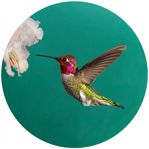 Andreas JO-CAH Custom Anna's Hummingbird Jar Opener - 3 Pack Set | Easy-Grip Kitchen Tool for Seniors & Arthritis | Perfect for Home, Camping & Gift Giving