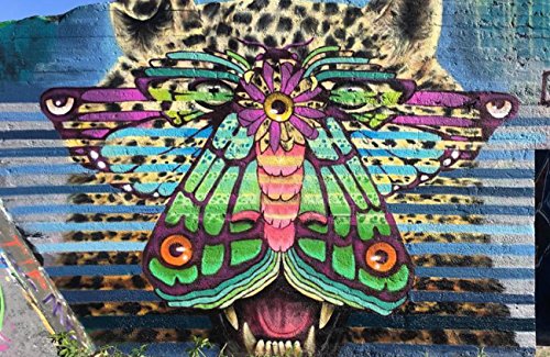 Jaguar Moth