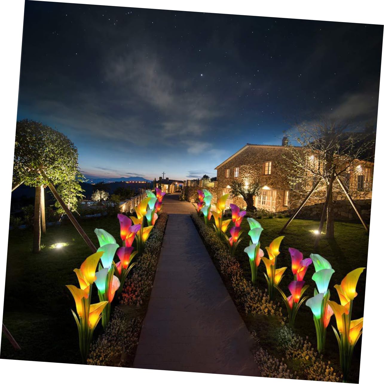 Solar Powered LED Calla Lily Outdoor Lights - 2 Pack White & Purple Landscape Lighting for Garden, Pathway, Patio Decor | Weatherproof & Energy Efficient Floral Lamps for Romantic Evening Ambience