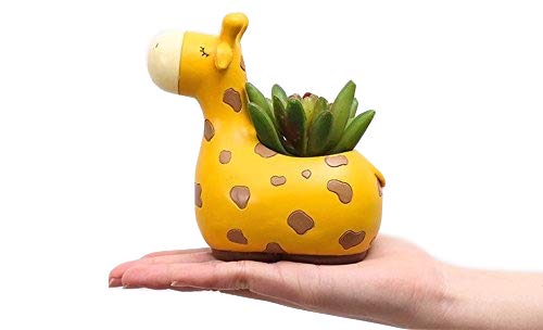 SWONVI Cute Resin Giraffe Succulent Planter with Drainage Hole - Mini Flower Pot for Desk Decor, Garden Plants & Home Office Decoration | Perfect for Succulents, Cacti & Small Indoor Plants