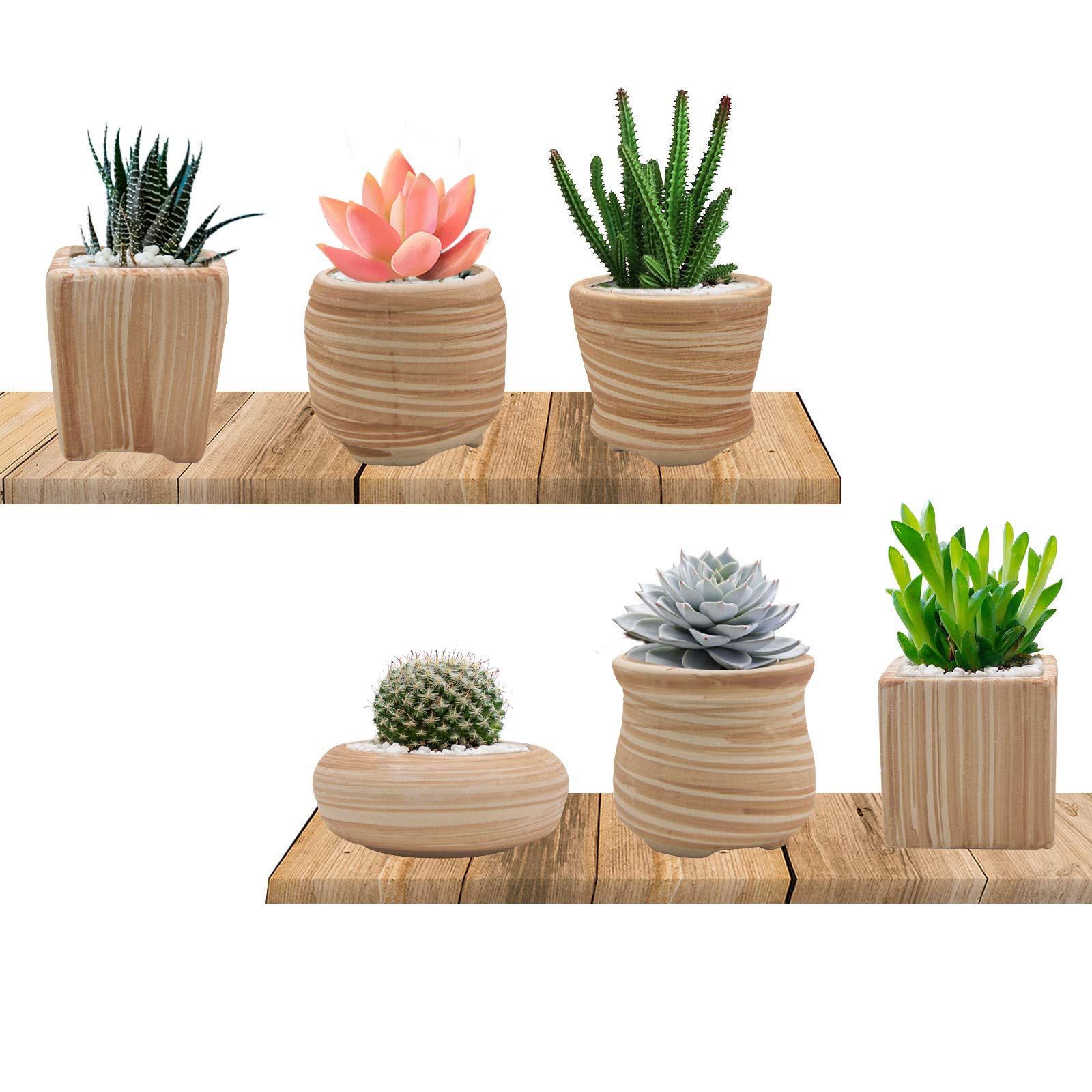 GoldBlue 2.5 Inch Ceramic Succulent Pots with Wooden Pattern - Set of 6 Small Cactus Planters, Flower Pots for Home Decor, Office Desk, Wedding Favors & Gift Ideas