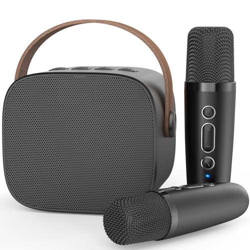 Black 2 mics