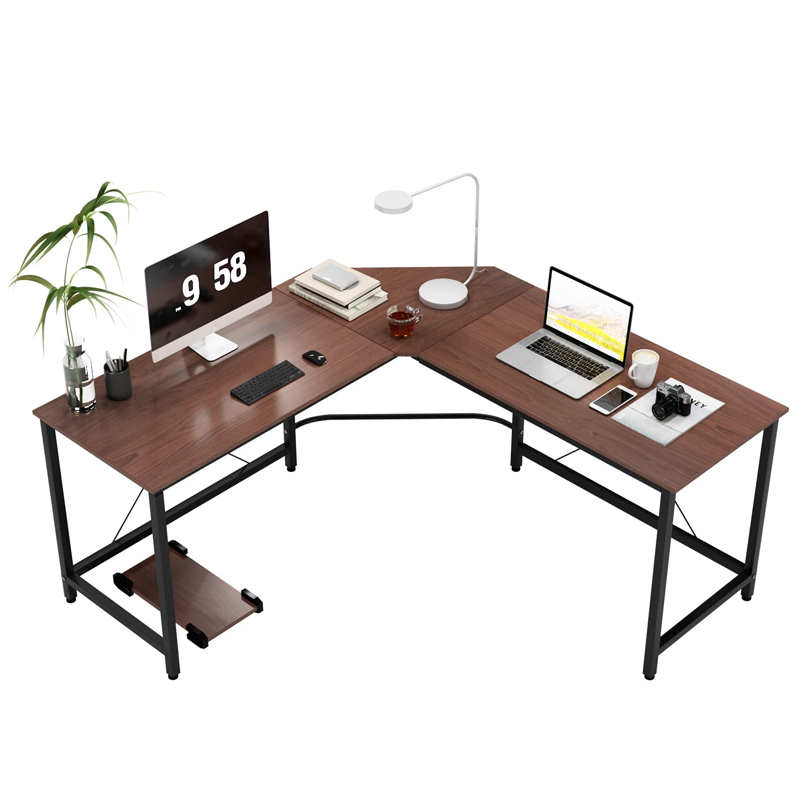 DlandHome 59