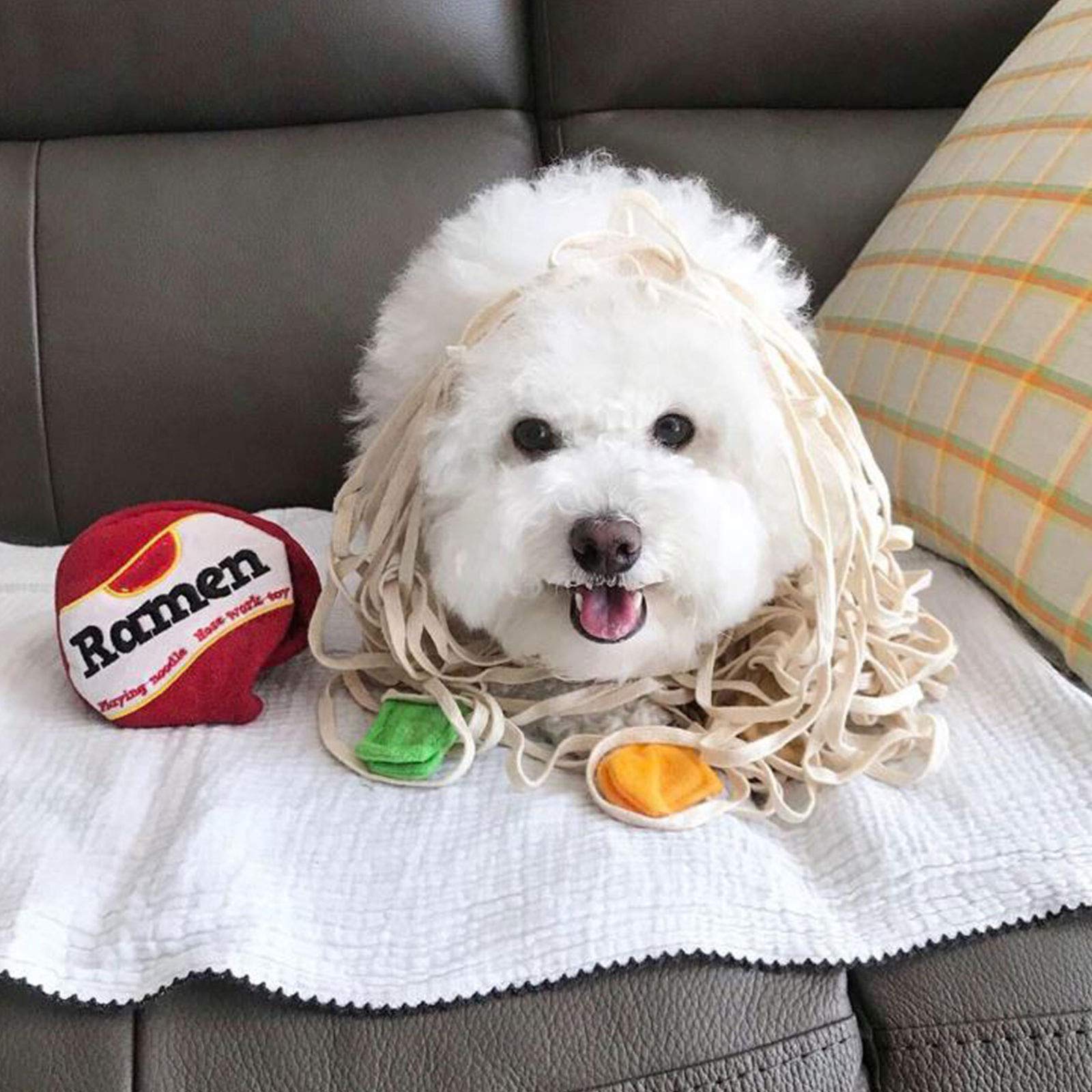 Interactive Dog Chew Plush Toy - Slow Feeding Puzzle Toy for Puppies & Cats | Ramen Noodle Nose Work Training | Small Pet Enrichment Activity for Mental Stimulation & Playtime Fun