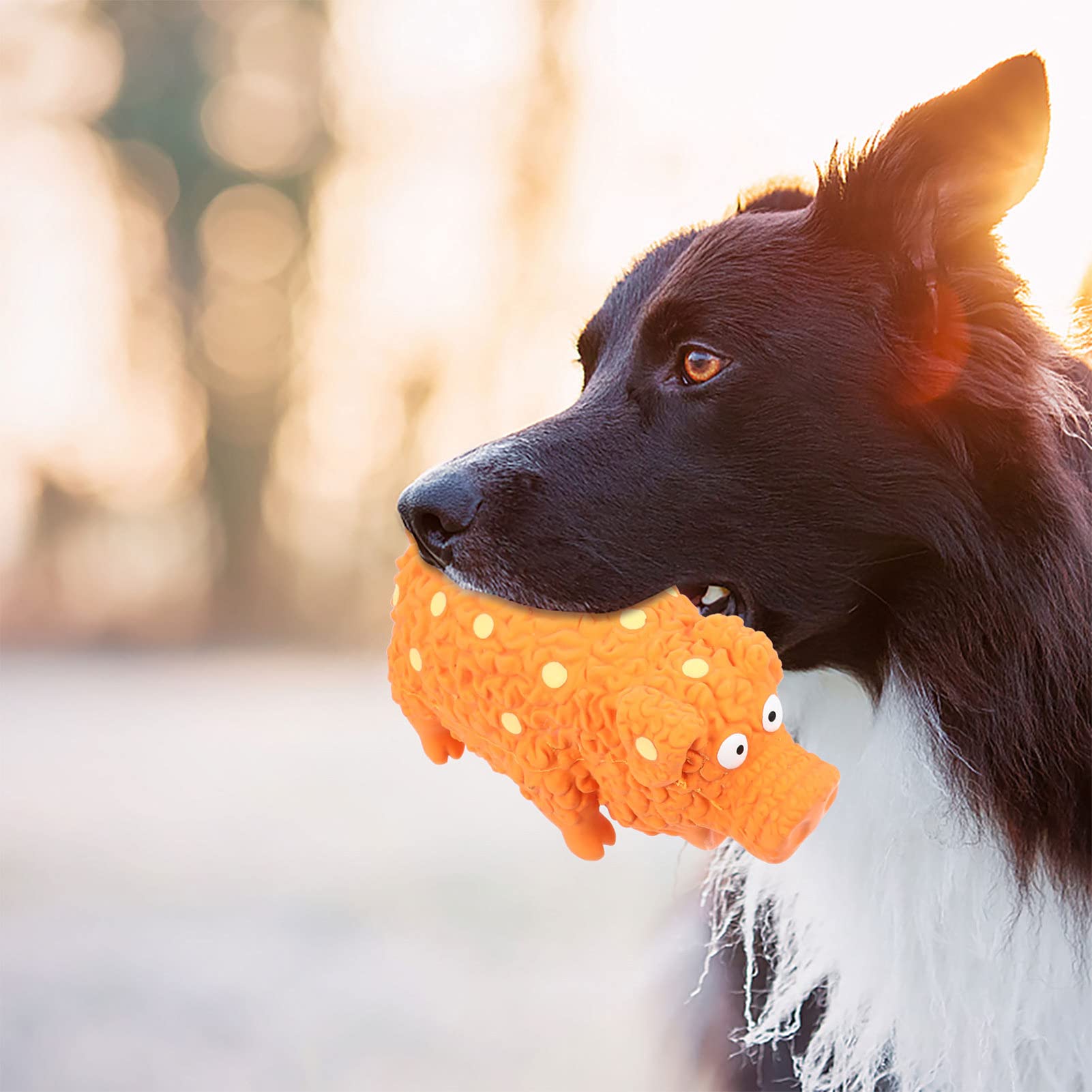 2pcs Dog Chew Toys for Teething & Teeth Cleaning - Pet Playthings for Puppies