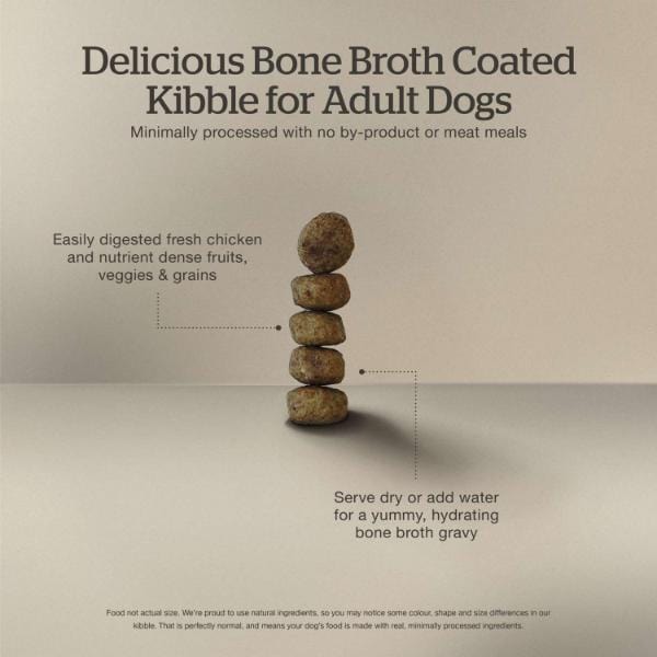 Now Fresh Grain-Free Adult Dry Dog Food - Chicken Recipe with Gravy | High Protein, Natural Ingredients for Healthy Digestion & Shiny Coat | Perfect for Active Dogs & Picky Eaters