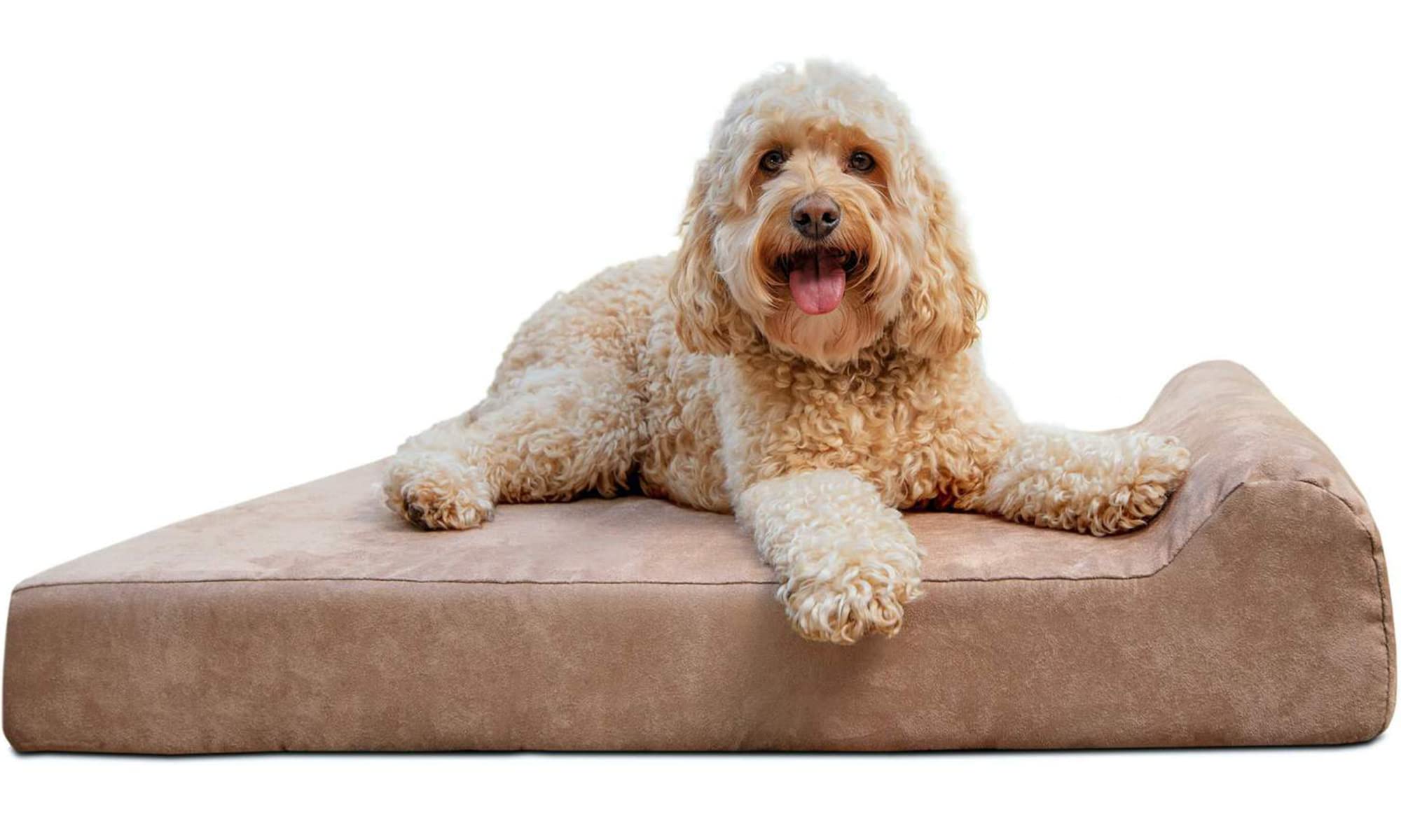 Orthopedic Dog Bed for Small & Medium Dogs - 4