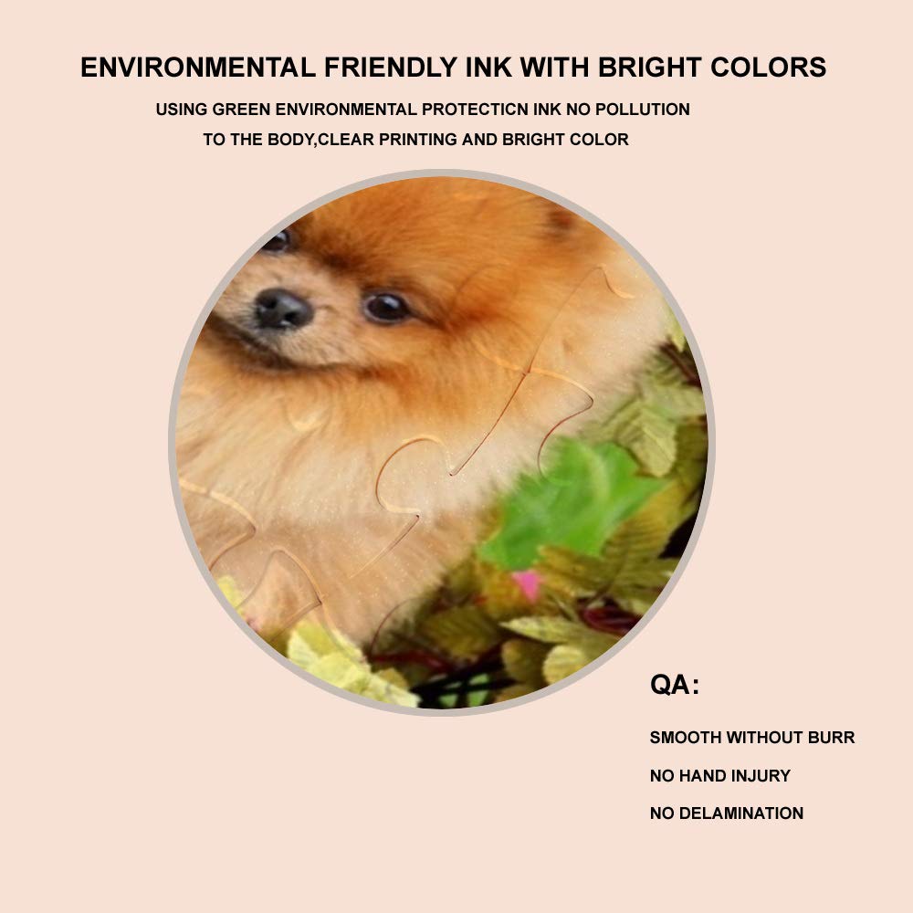ColourLife 300/500/1000 Piece Wooden Jigsaw Puzzle - Pomeranian Dog in Basket Artwork, Fun & Challenging Puzzle Game for Adults & Teens - Perfect for Family Game Night, Stress Relief & Home Decor