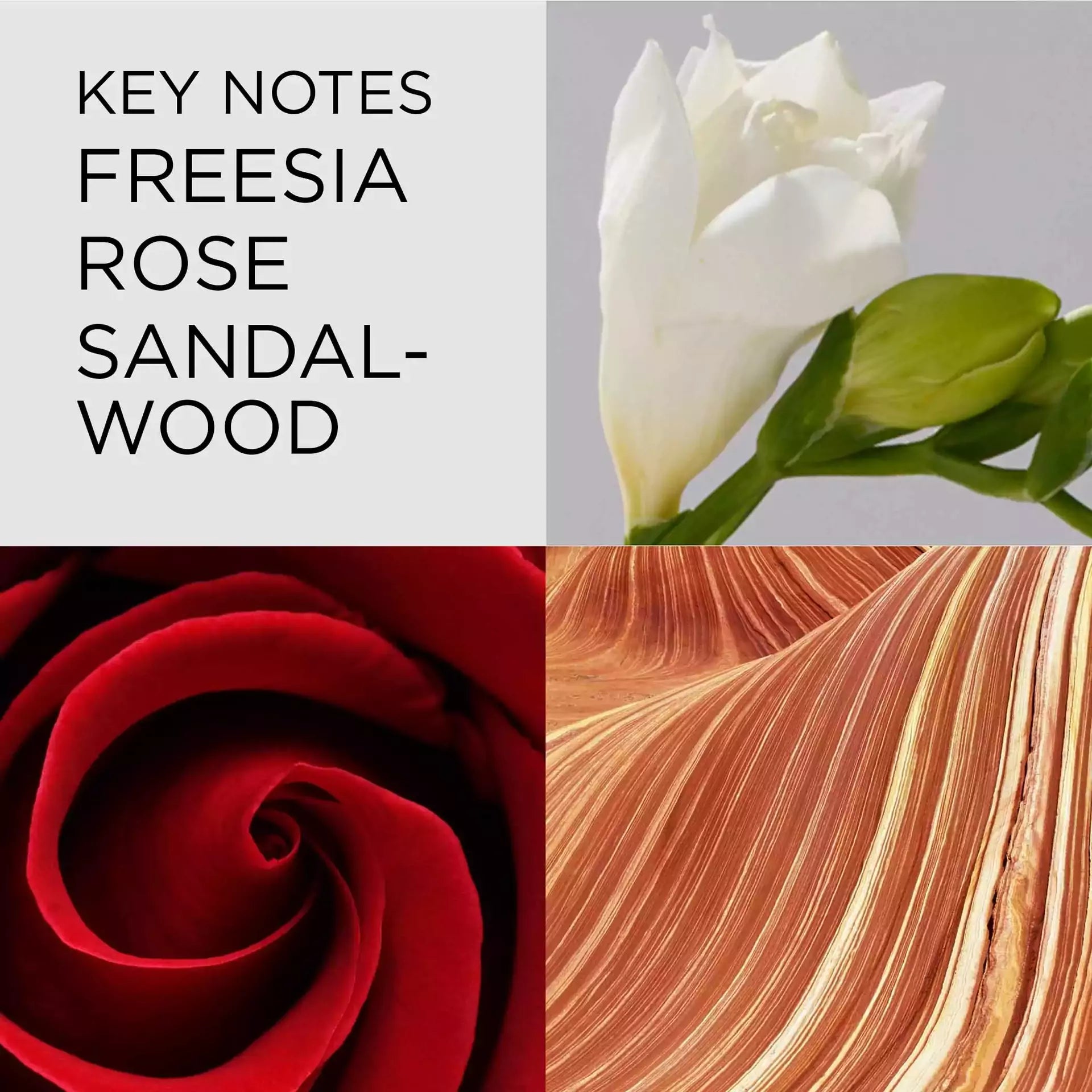 Red Door Eau de Parfum Spray for Women - Floral Fragrance Perfume with Long Lasting Scent - Perfect for Date Night, Office & Special Occasions