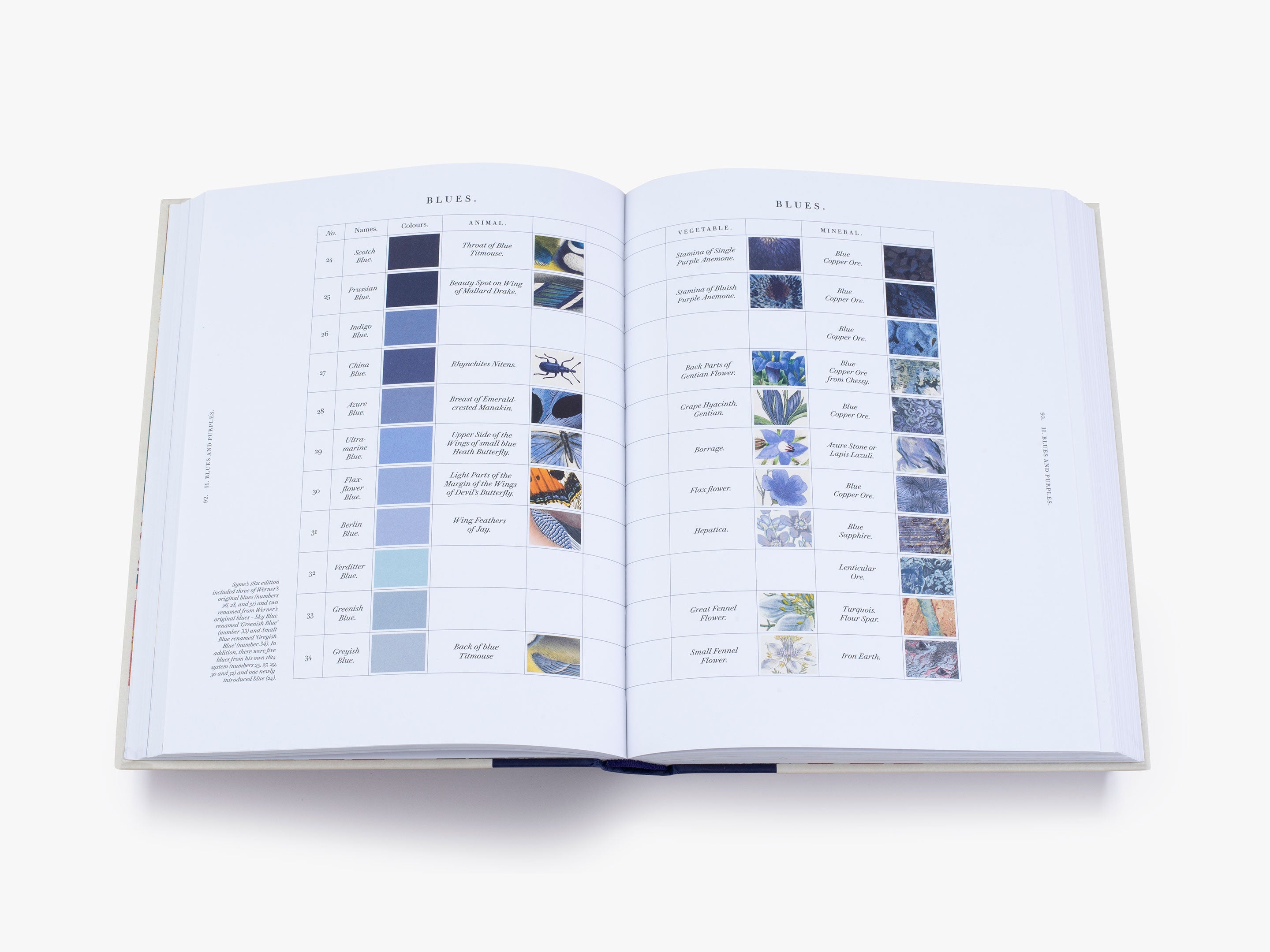 Nature's Palette (Signed Copy) - Vibrant Art Book for Home Decor, Gifts & Inspiration | Perfect for Nature Lovers & Art Collectors