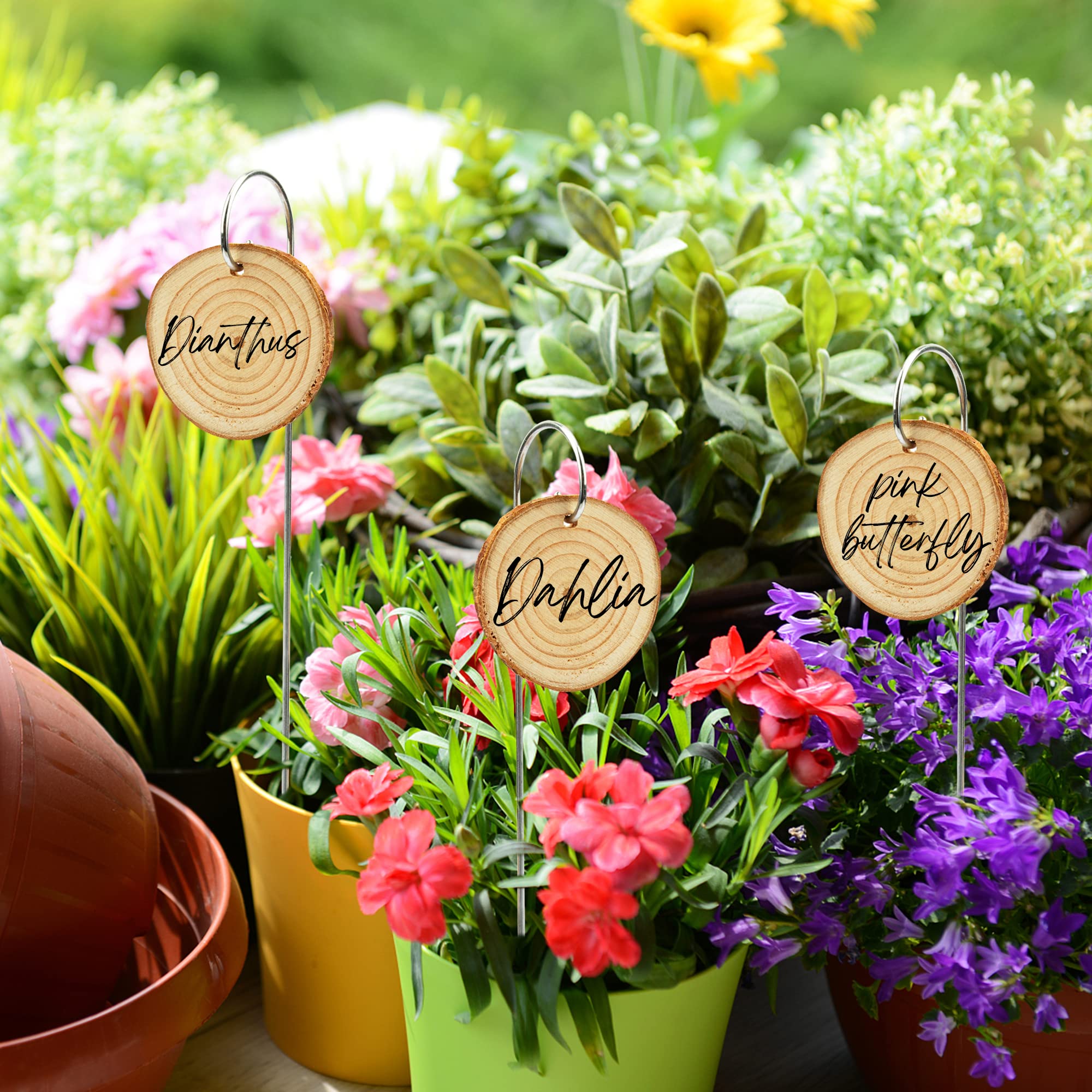 25 Pack Wooden Plant Labels with Marker Pen - Waterproof Garden Markers Stakes for Flowers, Herbs, Potted Plants & Seedlings - Perfect for Indoor/Outdoor Gardening & Greenhouse Organization