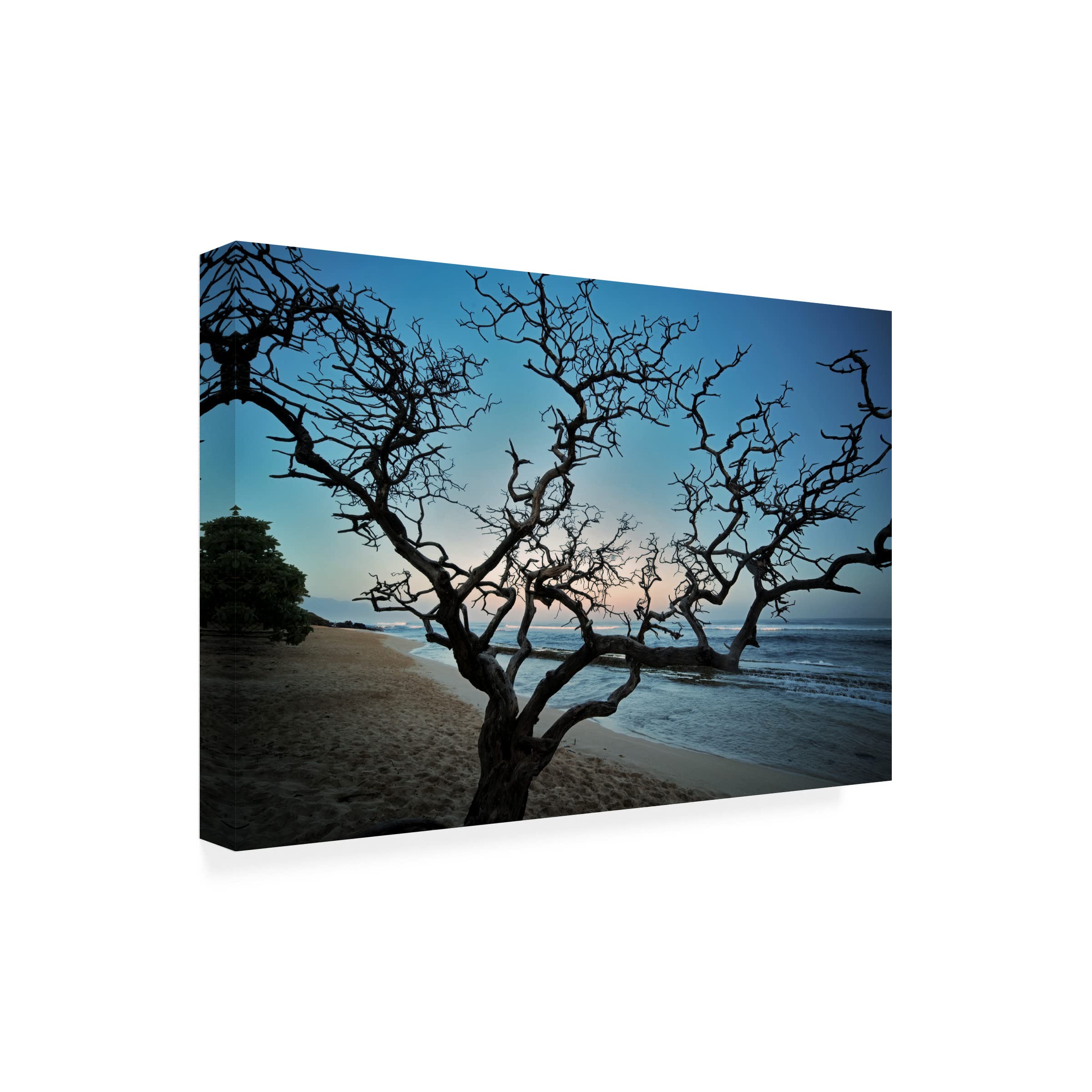 Dennis Frates 'Silhouetted' Canvas Art Print - Premium Trademark Fine Art for Home & Office Decor | Perfect for Living Room, Bedroom, or Office Wall