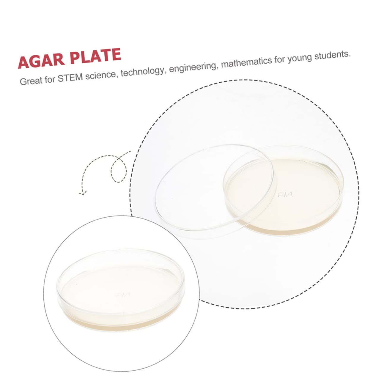 30 Pcs Nutrient Agar Petri Dishes for Mushroom Tissue Culture | Lab-Grade Agar Plates for Microbiology Experiments | Perfect for Classroom Labs, Home Science Kits & Kids STEM Projects