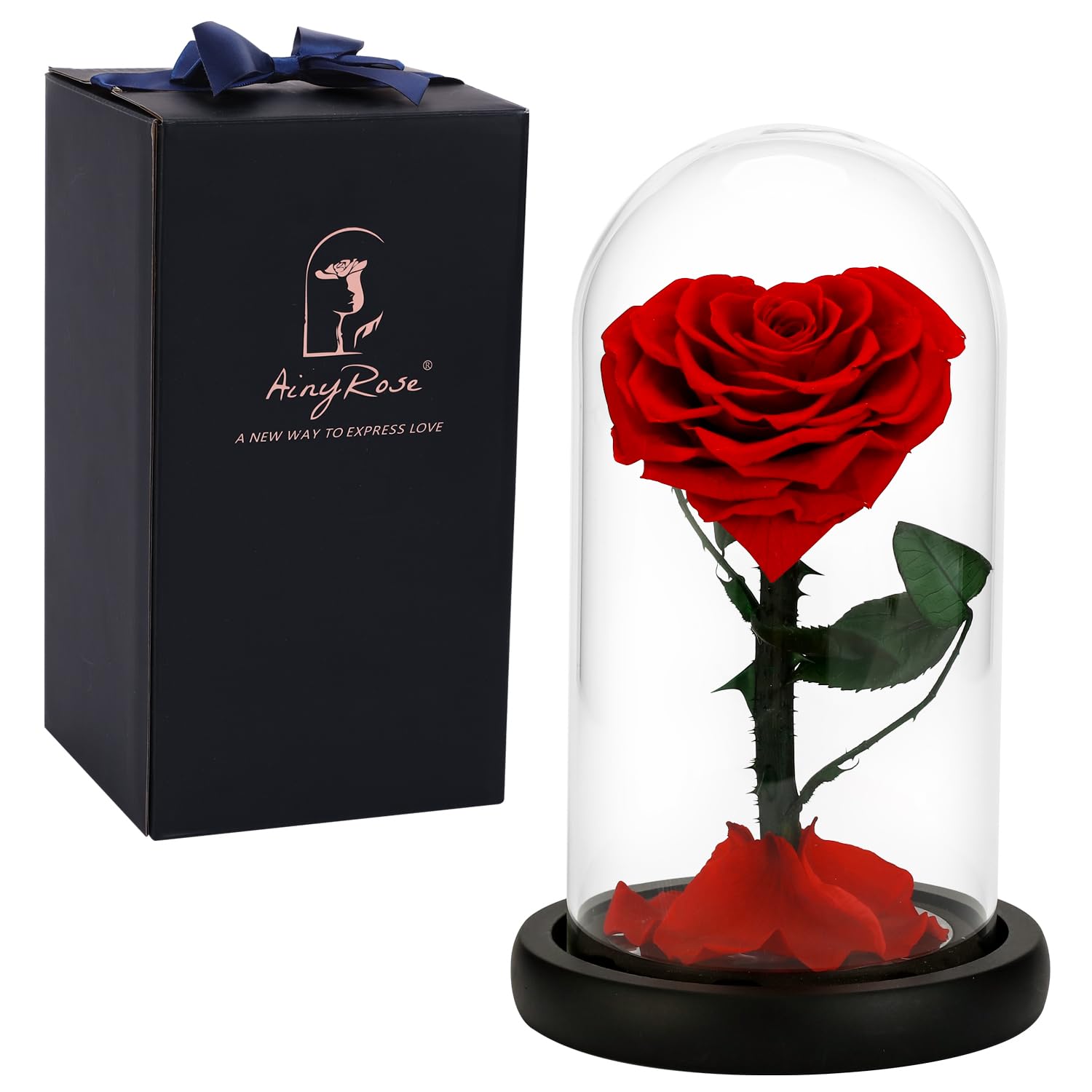 Forever Preserved Real Rose Flower in Glass Dome - Romantic Birthday, Valentine's Day, Mother's Day, Christmas & Anniversary Gift for Women (Red) - Perfect for Home Decor, Wedding Centerpieces & Special Occasion Gifts