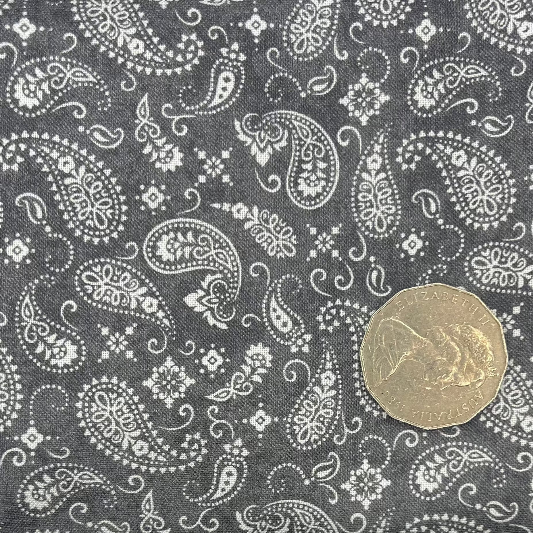 Paisley Grey Scarf - Soft & Stylish Womens Fashion Accessory for Fall & Winter Outfits | Perfect for Office, Travel & Casual Wear