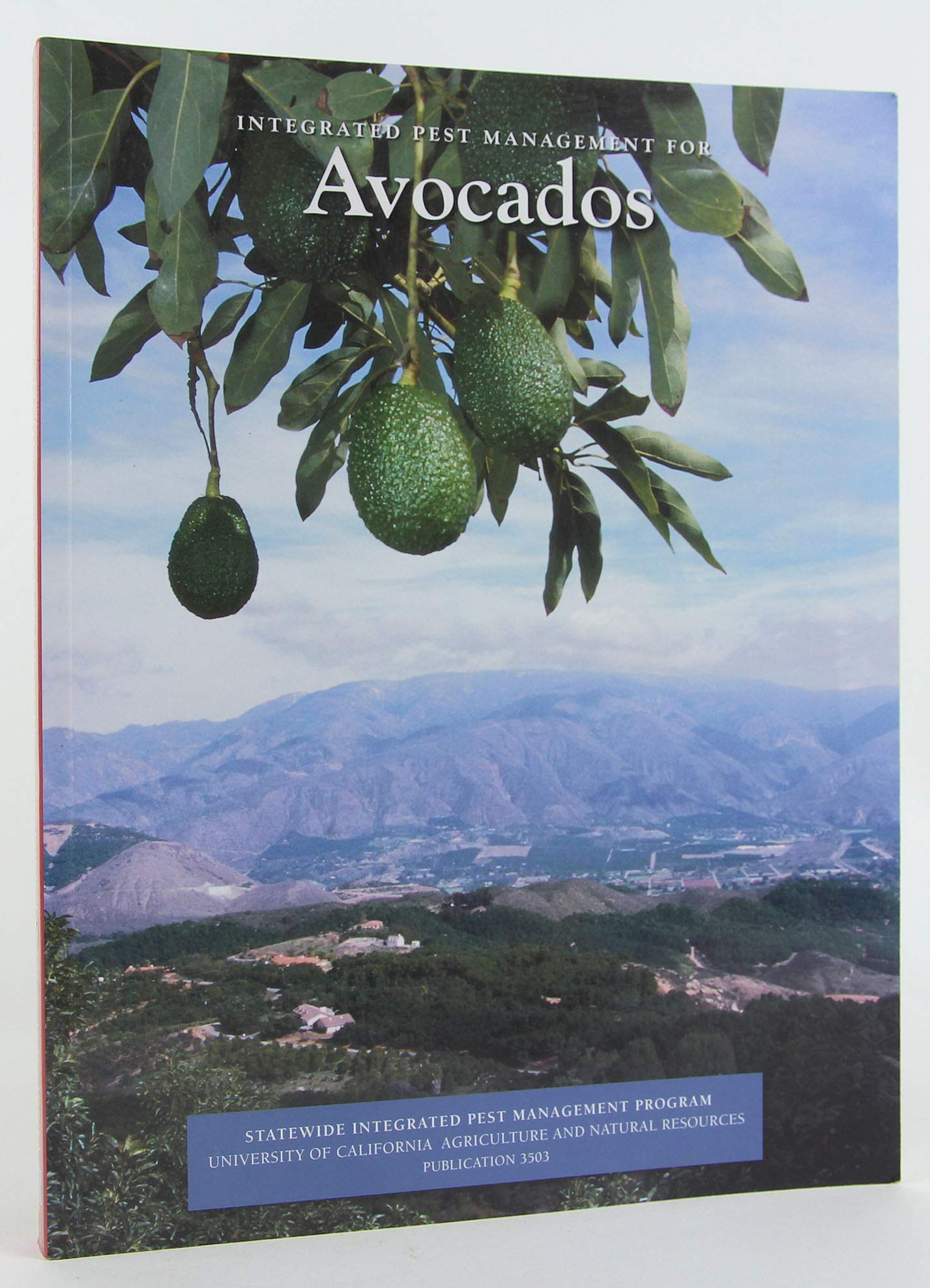 Effective Integrated Pest Management (IPM) for Avocado Trees | Organic Pest Control Solutions for Home & Commercial Growers | Perfect for Backyard Orchards & Large-Scale Farms