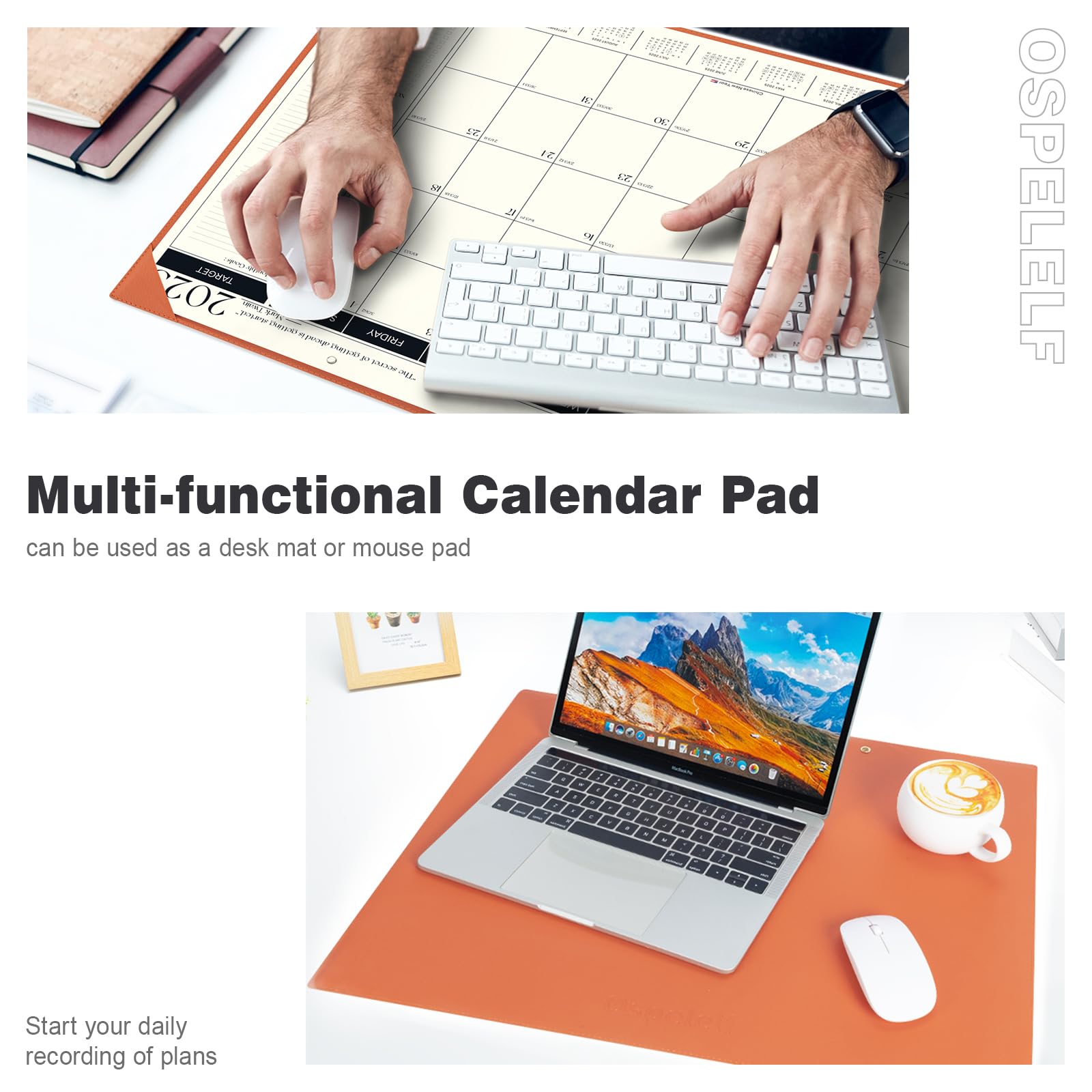 2025-2026 Large 18-Month Desk Calendar with Plastic Cover | January 2025 - June 2026 Planner | 22