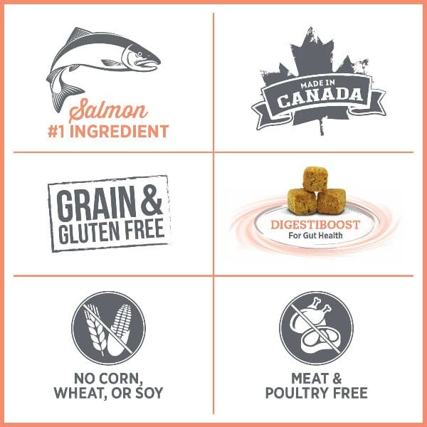Nutrience Care+ Hypoallergenic Dry Dog Food for Sensitive Skin & Stomach - Grain-Free, Digestive Health Support - Perfect for Dogs with Allergies & Food Sensitivities