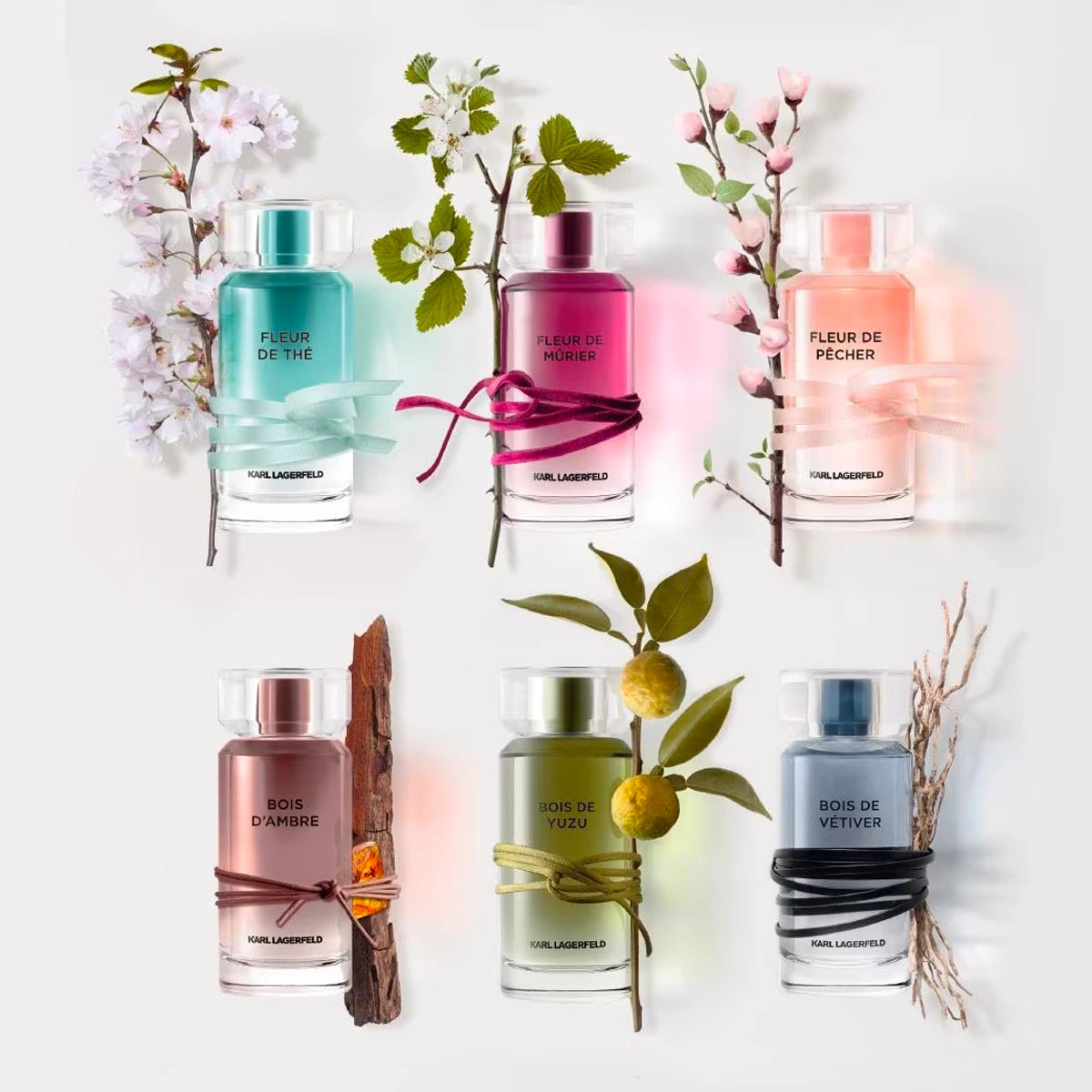 Bois De Ambre 3.4 oz Eau de Toilette for Men - Long Lasting Fragrance for Date Night, Office & Special Occasions
