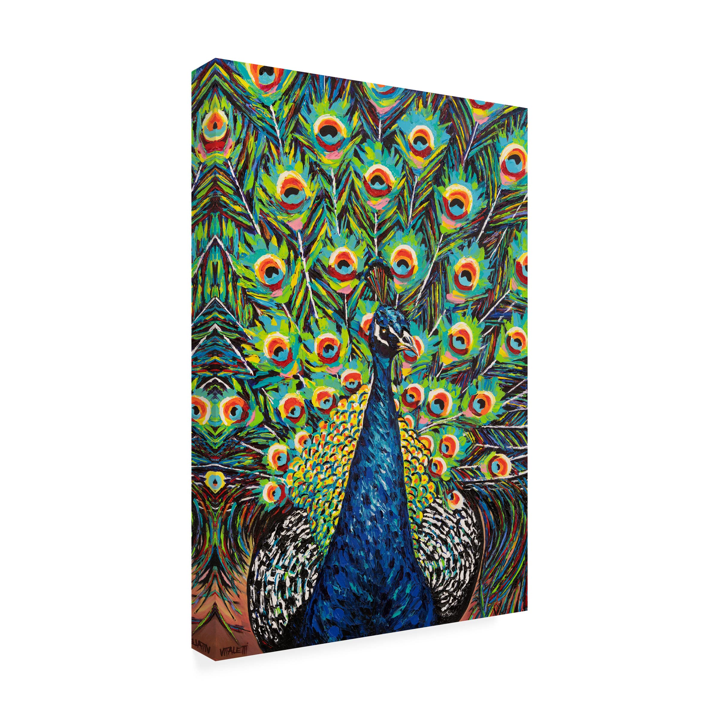 Trademark Fine Art 'Lavish Peacock II' Canvas Wall Art by Carolee Vitaletti - Elegant Peacock Painting for Living Room, Bedroom & Office Decor