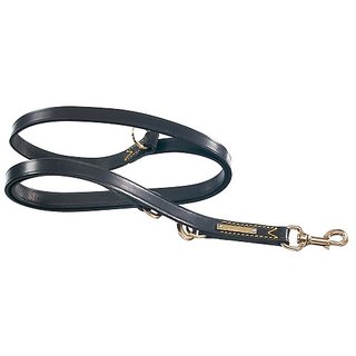 Italian Leather 2-in-1 Adjustable Dog Leash (6 Feet) - Durable & Stylish for Walking, Training & Outdoor Adventures