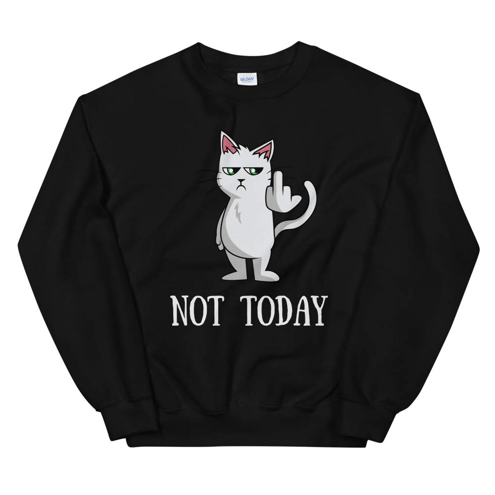 Funny 'Not Today!' Middle Finger Cat Lady T-Shirt & Sweatshirt - Cute Unisex Gifts for Women - Perfect for Cat Lovers, Birthday Gifts & Sarcastic Humor