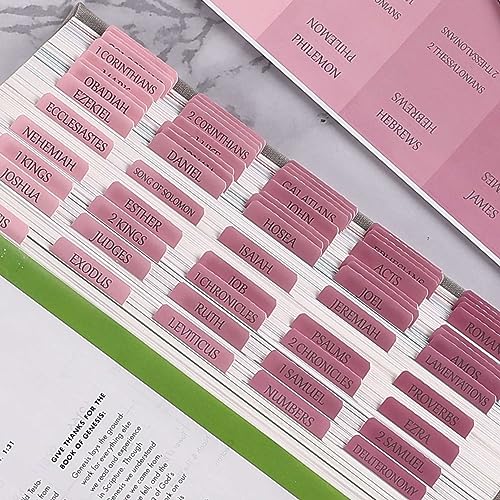 Ombre Pink