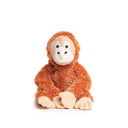 Orangutan
