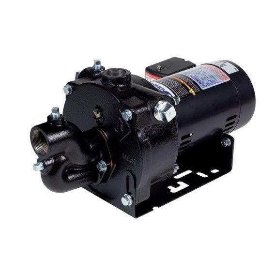 Franklin Electric CVJ1CI S 96136010 1 HP Convertible VersaJet Pump - High Performance Water Pump for Home, Garden, and Industrial Use | Perfect for Irrigation, Water Transfer, and Pressure Boosting