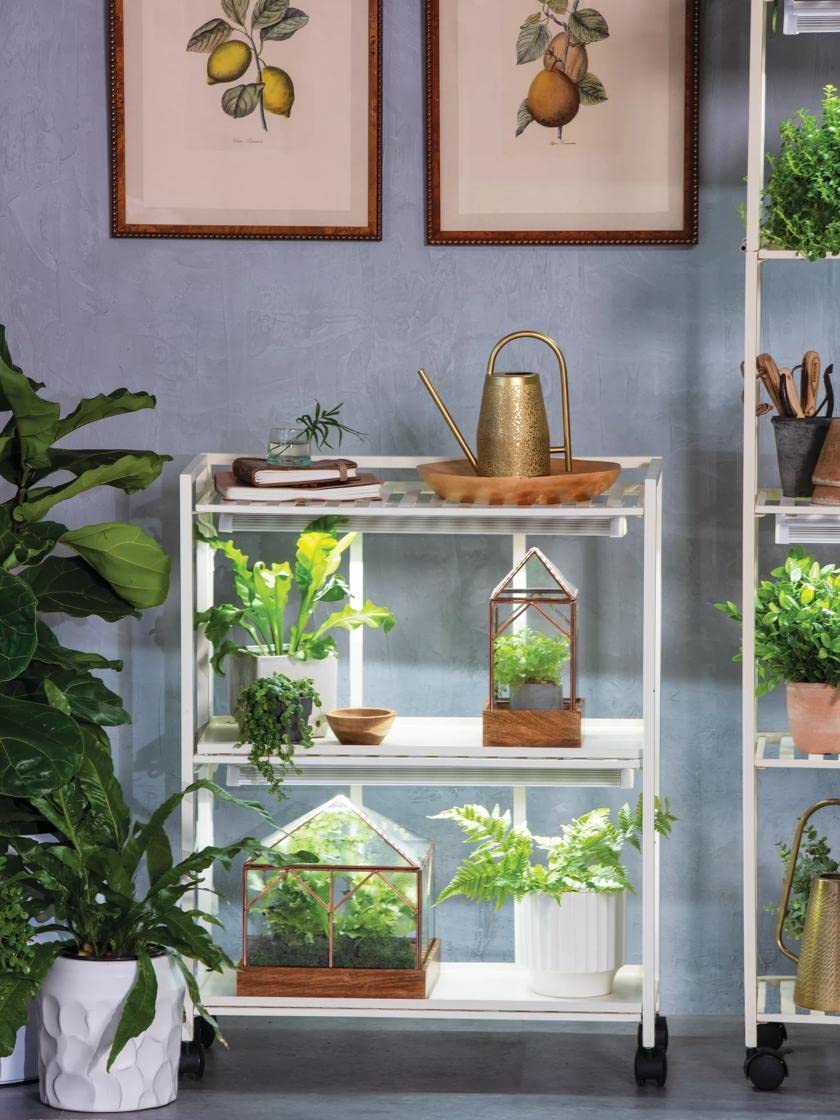 Oslo 2-Tier Metal Grow Light Plant Stand with Adjustable LED Fixtures & Wheels – Indoor Gardening Shelf for Herbs, Seedlings & Houseplants | Perfect for Home, Greenhouse & Urban Farming