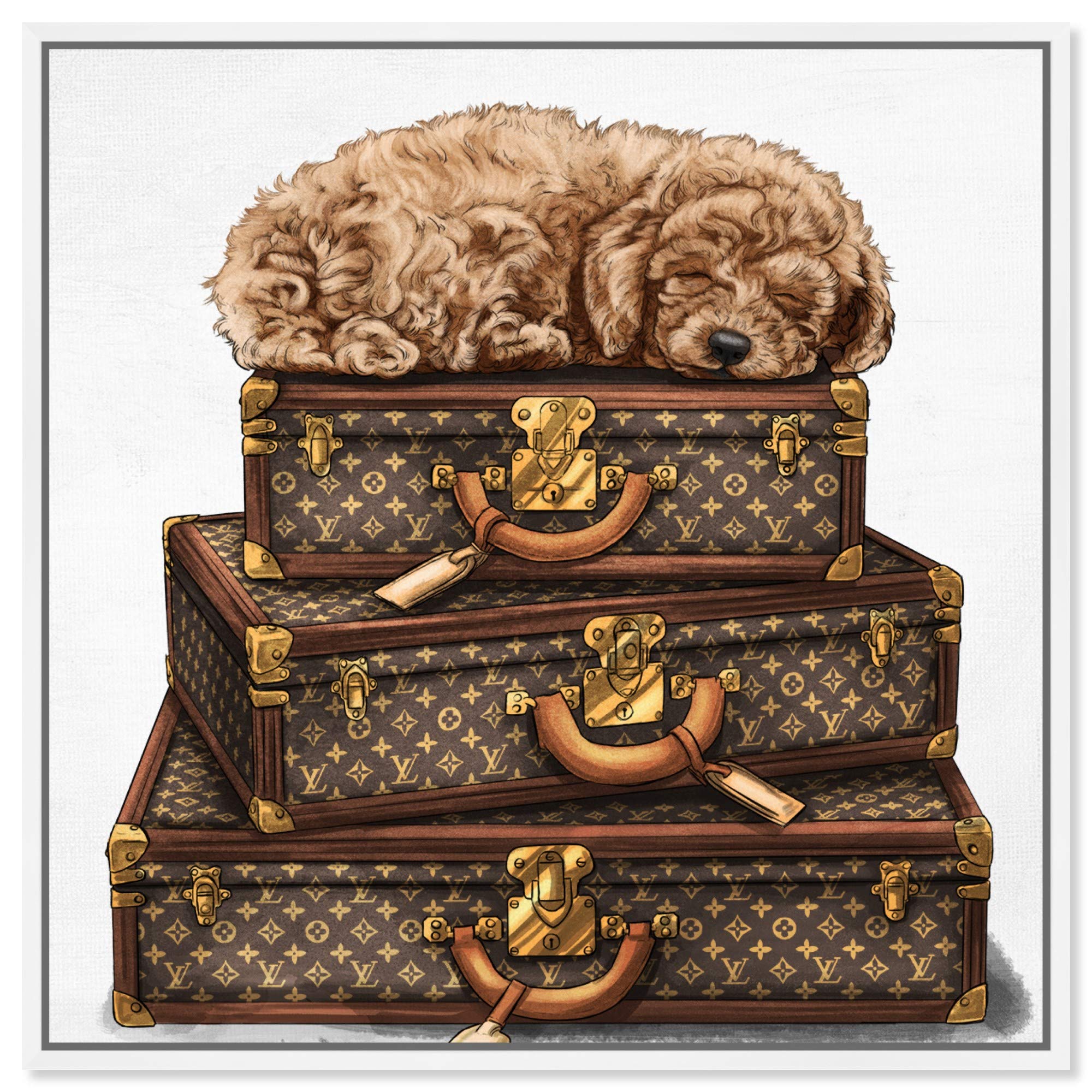 Oliver Gal Artist Co. 'Sleeping Poodle' Framed Wall Art - 30x30 Inch Brown & White Canvas Print for Fashionable Home Décor | Perfect for Living Room, Bedroom or Office Decor